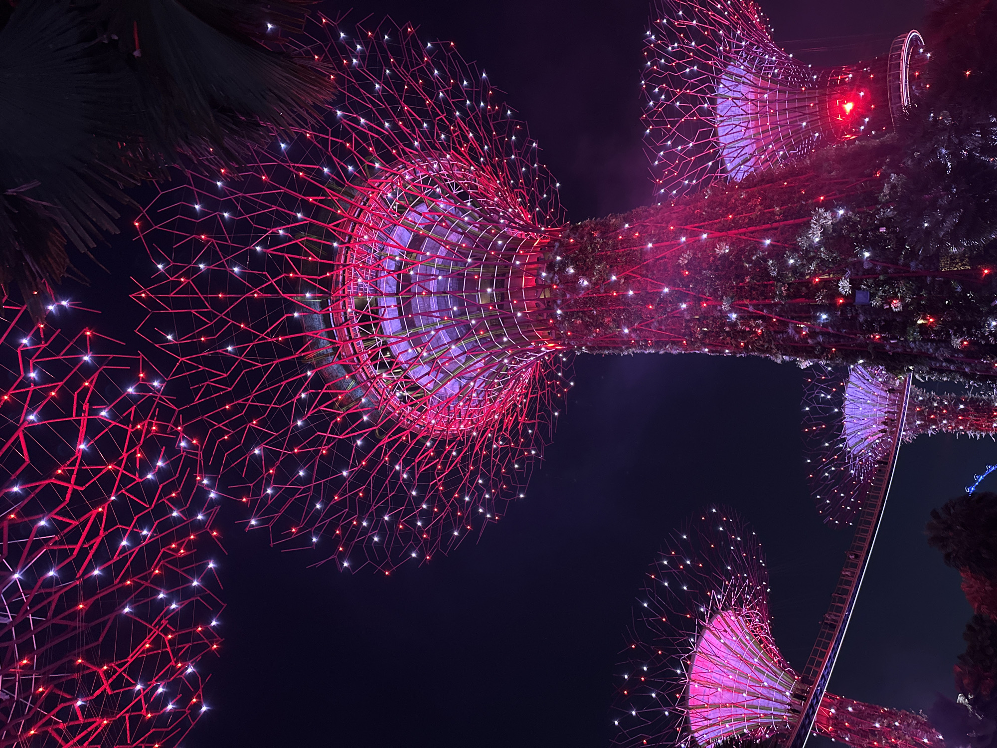 The image depicts the Supertrees at Gardens by the Bay in Singapore at night. These are large, vertical gardens resembling trees, covered in lush vegetation and illuminated by a multitude of red and white lights. The Supertrees have a distinctive, intricate network of branches made of steel and concrete, which are also outlined with lights, creating a dazzling spectacle against the dark night sky. In the background, parts of other Supertrees are visible, as well as a walkway connecting two of them, with silhouetted figures of people walking on it. The overall atmosphere is one of futuristic architectural wonder and vibrant artificial illumination.