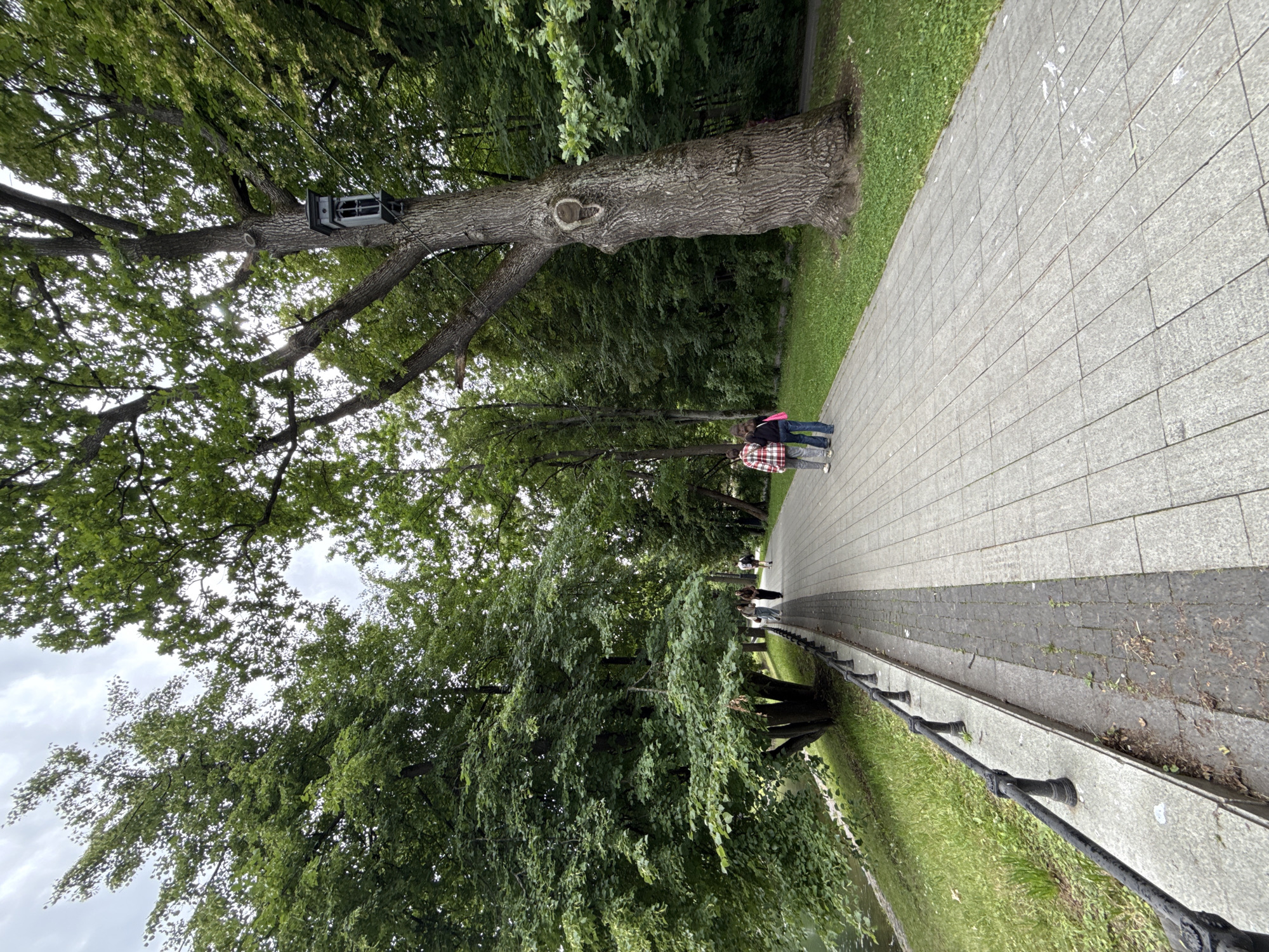 Two individuals, a male and a female, are walking away from the camera on a paved pedestrian path in a park. The path is lined with trees and grass on both sides. To the left of the path is a body of water, possibly a canal or river, with a black metal railing separating it from the path. To the right of the path is a large, old tree with a birdhouse or lantern attached to its trunk. In the background, more trees and foliage create a dense forest-like environment. The sky is overcast with clouds. This scene is likely in Moscow, Russia, given the architectural style of the birdhouse/lantern and the general park landscape typical of the city.