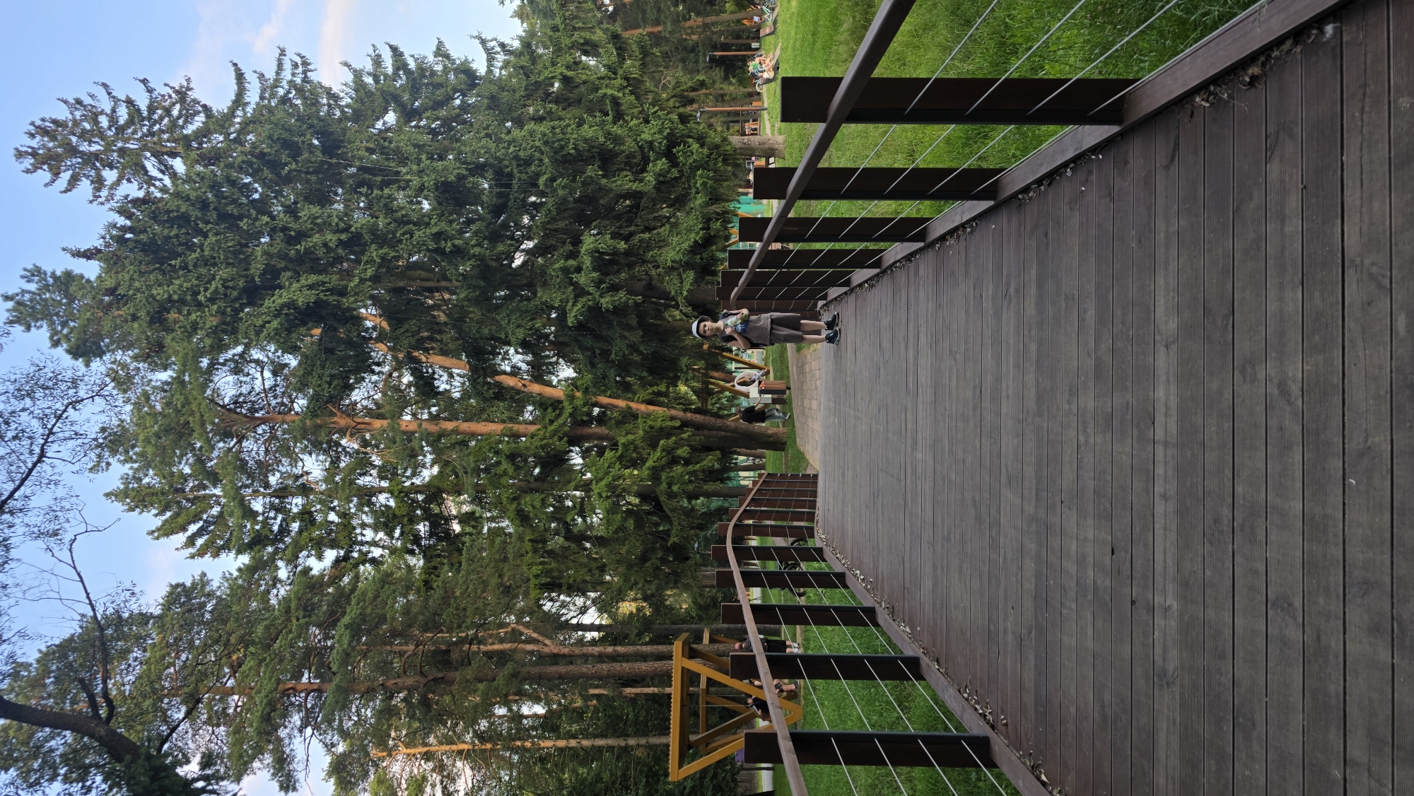 An outdoor daytime, medium shot captures a boy standing on a wooden bridge in a park. The boy, positioned slightly right of center, faces the camera. He is wearing a light-colored hat, a grey t-shirt, and grey shorts. He has dark hair and is holding a dark backpack. The bridge, constructed of dark wood planks, extends into the background, leading to a path lined with trees. The railings of the bridge are dark brown with thin metal wires. To the left of the bridge, a yellow triangular structure with a swing can be seen, and other people are present in the background, some sitting and some walking. The park setting is characterized by numerous tall, green trees, including pines, and a grassy area to the right of the bridge. The sky is visible at the top, with some clouds. The overall scene suggests a recreational area within a city park. This image was taken in the city of Il’inskiy, Russia.