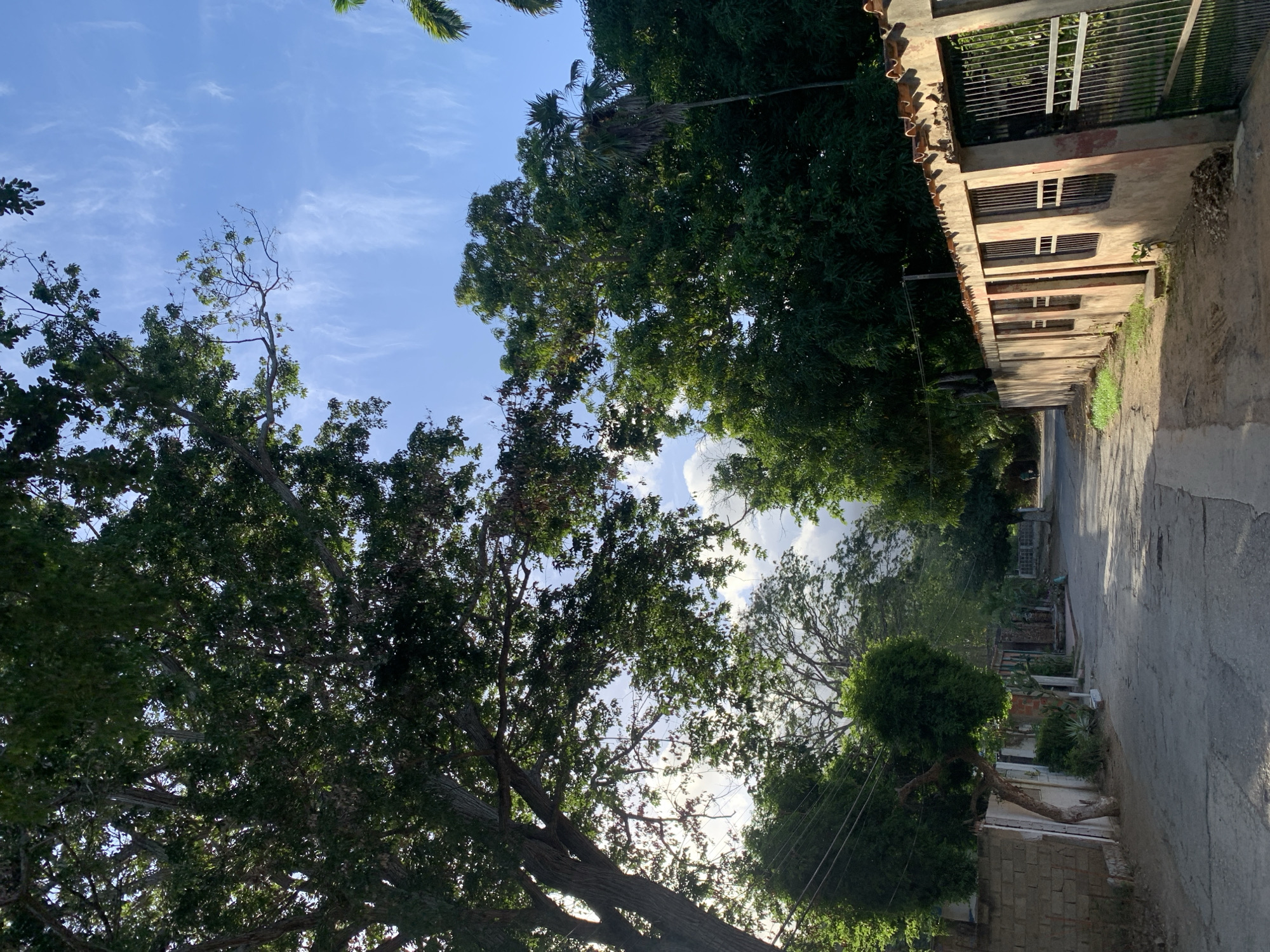 The image depicts a street scene in El Valle del Espíritu Santo, Venezuela. A paved road runs through a residential area lined with buildings and lush vegetation. The sky above is a clear blue with wispy white clouds. On the right side of the road, a weathered, light-orange wall with barred windows and an iron gate separates the property from the street. The wall is topped with terracotta roof tiles. Trees, including a large, leafy one on the left and palm trees further down the road, provide shade. A few people are visible in the distance, walking along the street. The overall impression is one of a tranquil, sun-drenched afternoon in a tropical environment.