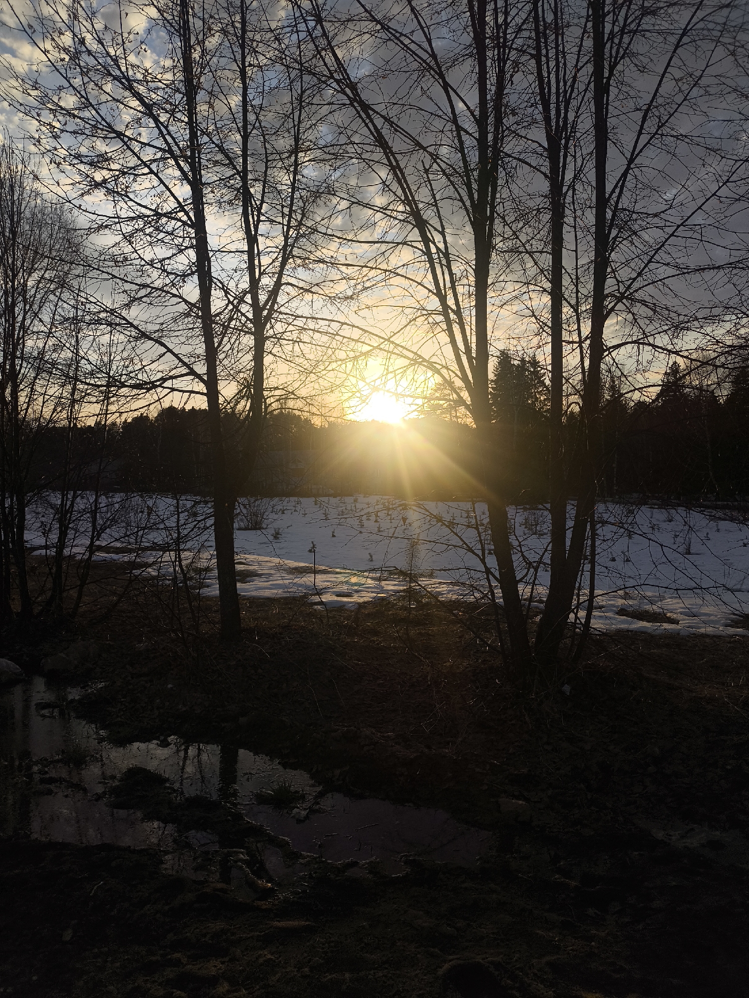 The image captures a landscape near the city of Chaikovsky, Russia, at sunset. In the foreground, there is a small body of water, possibly a stream or pond, with dark mud surrounding it. The water surface reflects the sky and trees above. Several bare trees stand between the viewer and the setting sun, their branches silhouetted against the bright light. Beyond the trees, there is a snow-covered field with patches of open ground. A dark line of forest is visible on the horizon. The sky is a mix of light and dark clouds, with the sun positioned low, creating a strong, radiant light that filters through the trees.