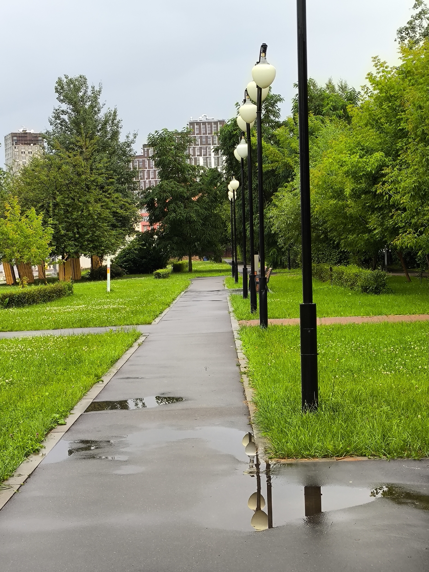 An eye-level, outdoor shot shows a wet, gray asphalt pathway in a park with bright green grass on either side. The path is bordered by a concrete edge and leads into the distance. A series of black lampposts with round, off-white lights are spaced along the right side of the path. Puddles of water on the path reflect the lampposts and the overcast sky. Trees and some multi-story buildings are visible in the background. The overall atmosphere is subdued due to the cloudy weather.