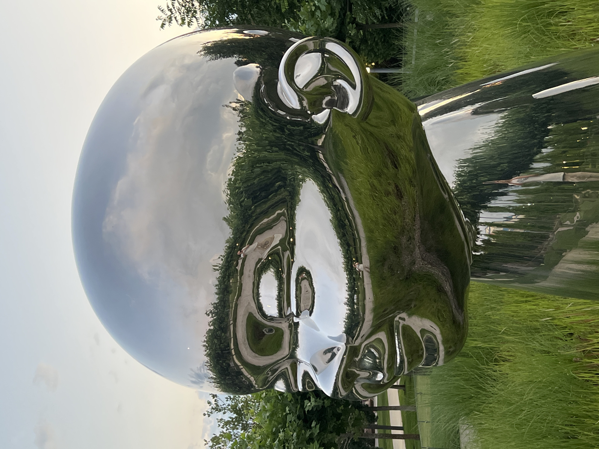 This media file is a close-up, rotated shot of a highly polished, metallic sculpture of a head. The sculpture is located outdoors in a grassy area with trees and what appears to be a pathway in the background. The reflective surface of the sculpture mirrors the surrounding environment, including the sky, clouds, trees, and grass.
The setting appears to be a park or public garden. In the reflections on the sculpture, people can be seen walking along a path. The sky suggests it is either early morning or late afternoon, indicated by the soft, diffused light and the presence of clouds. The weather appears to be mild and pleasant, conducive to outdoor activities.
Notable details include the distorted reflections of the environment on the curved surfaces of the sculpture, creating an abstract and surreal effect. The sculpture itself is smooth and featureless except for the clear definition of facial characteristics like the nose, eyes, and ears, all rendered in a highly polished metallic finish.
The overall emotion conveyed is one of quiet contemplation and artistic intrigue, emphasized by the distorted reflections and the serene outdoor setting. There is no visible text in the image. The location context is Krasnodar, Russia.