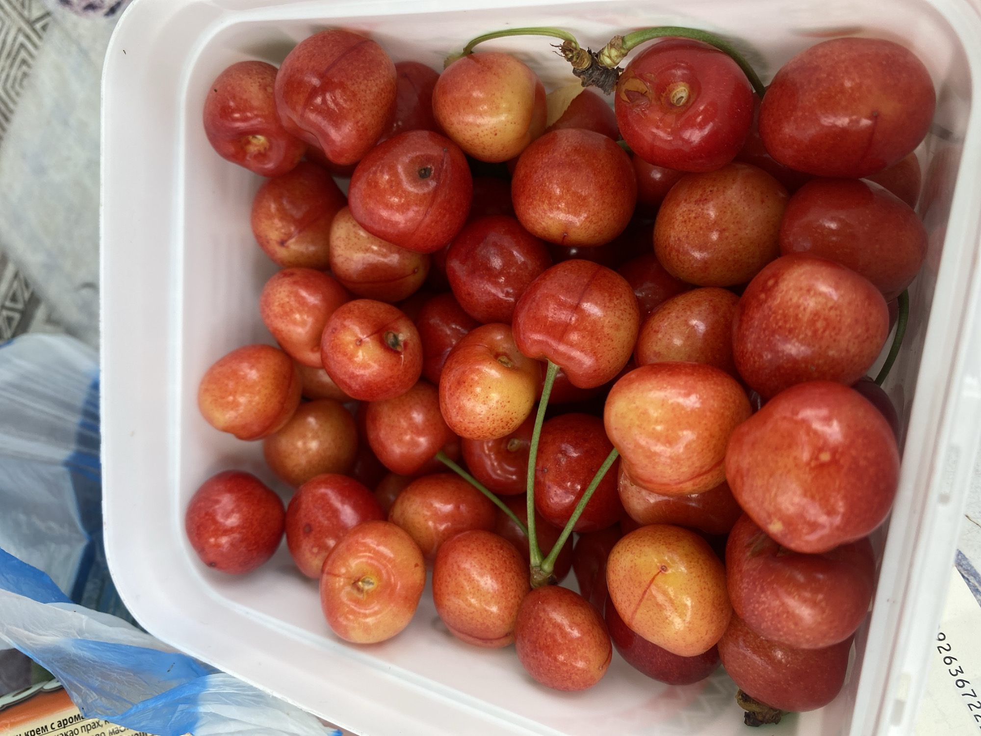 The scene, located in the city of Sinitovo, Bulgaria, features a white rectangular plastic container filled with approximately 50 to 60 ripe cherries. The cherries display a varied color spectrum, ranging from predominantly yellowish-orange with reddish blushes to solid deep red, with some individual fruits showing minor skin blemishes and many retaining their short green stems. In the upper left quadrant of the background, a partially visible, crumpled blue and white plastic bag is present, featuring fragmented Cyrillic text that includes "КРЕМ С САРОМ" and "ПРАХ". The upper right background shows a light-colored surface with a subtle geometric pattern. The lower left foreground reveals an upside-down fragment of alphanumeric text, "92636722", printed on a white surface. No human figures or overt actions are depicted within the frame.