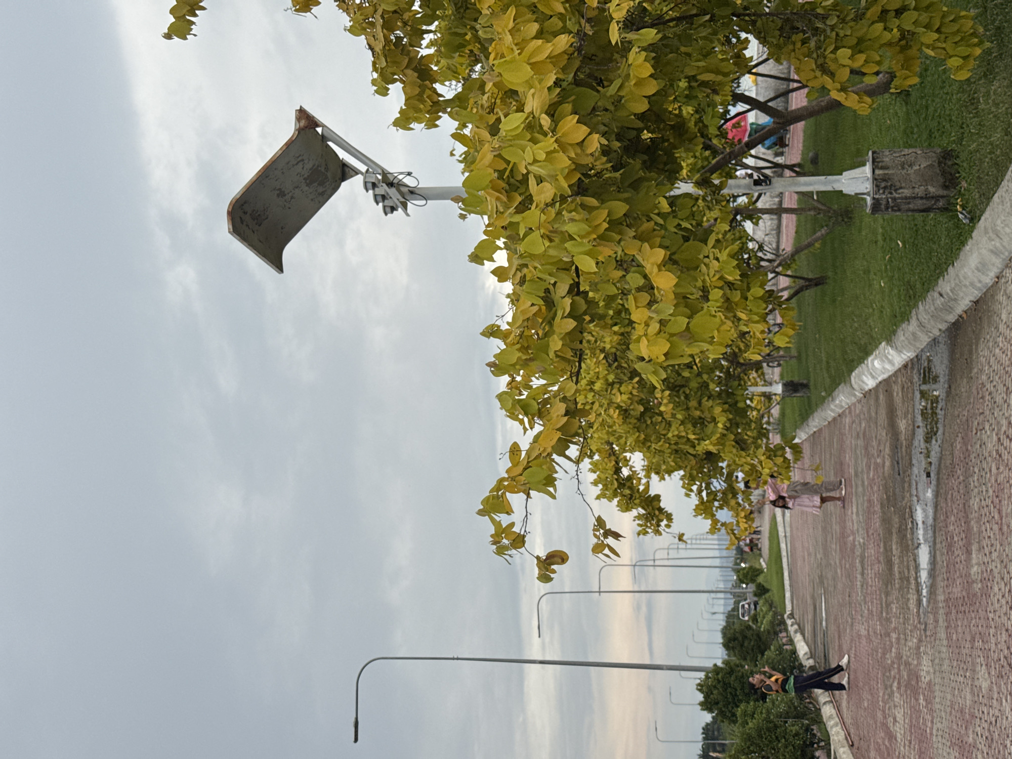 This image, originally in portrait orientation, depicts a public park or a long pedestrian walkway in what appears to be Davao City, Philippines, under an overcast sky.
The scene is dominated by a wide, reddish-brown paved path running along the right side, bordered by a grey concrete curb. To the left of the curb is a strip of well-maintained green grass, beyond which are numerous trees with light green and yellowish leaves, some forming a dense canopy. Several tree trunks and branches are visible.
A series of streetlights stretches into the distance along the path. One prominent streetlight fixture, possibly a speaker or camera mount, is visible close to the viewer, attached to a pole. Further down the grassy area, another concrete base for a pole is present.
Several people are visible on the path. Two women stand together in the middle ground; one is wearing a light pink dress, and the other a beige or brown dress. Further down the path, another individual in dark pants and a striped top (yellow, green, and black) is leaning against a low barrier or object. Other blurry figures can be seen walking in the far distance.
The time of day appears to be daytime, likely late afternoon or early morning, given the soft, diffused light from the cloudy sky. There are no harsh shadows, indicating an overcast weather condition. No discernible text is visible in the image. The overall atmosphere suggests a calm, leisurely public space.