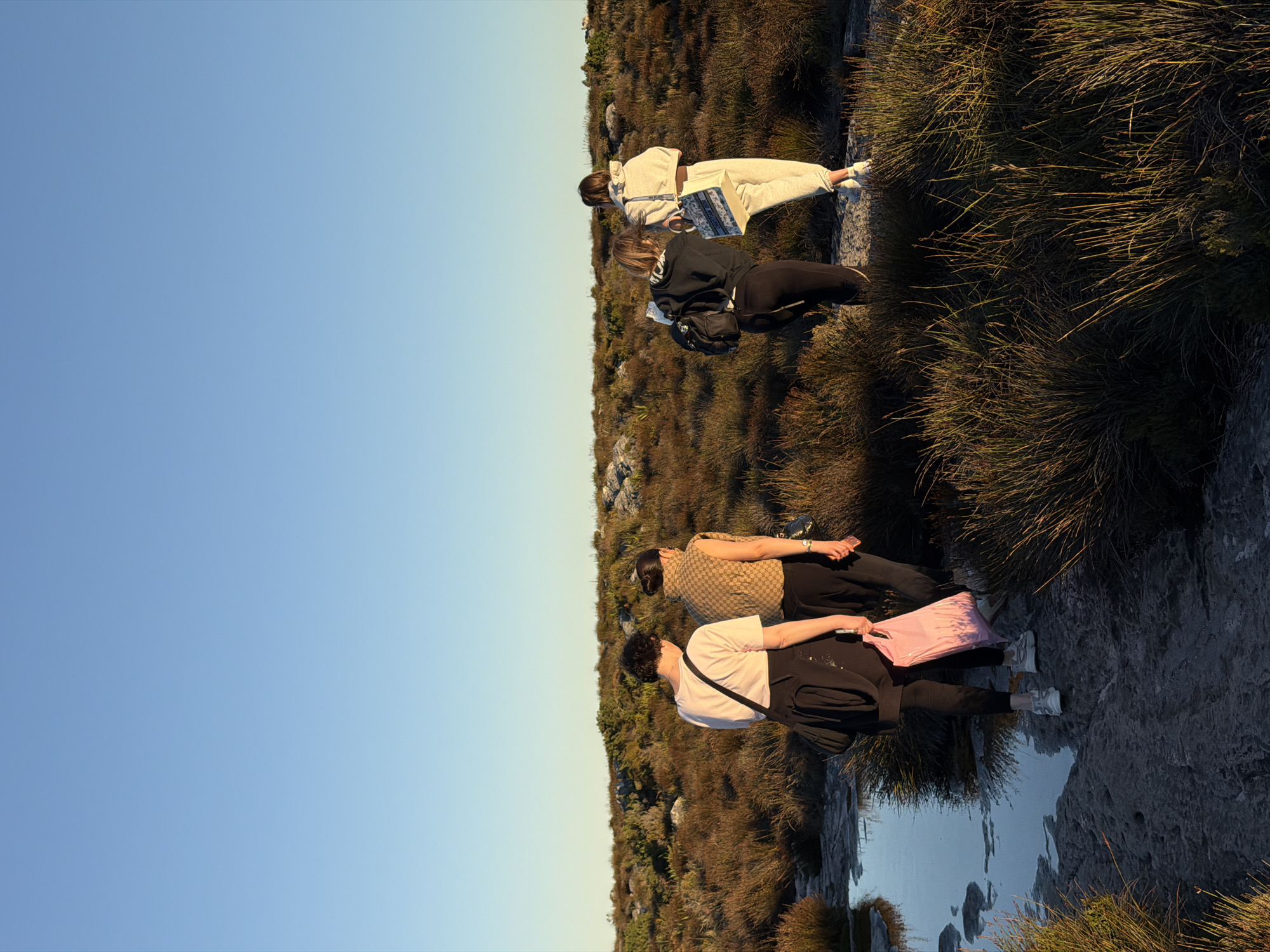 The image captures an outdoor scene featuring a group of people on rocky terrain with sparse vegetation under a clear, bright sky. The perspective is from behind the individuals, looking towards the horizon. The setting appears to be a natural landscape, possibly a mountain or a hilly area, consistent with the fynbos biome found in Cape Town, South Africa.
In the foreground, two individuals are visible. One, on the left, wears a white t-shirt, black pants, and white sneakers, and holds a light pink shopping bag in their left hand. The other, to their right, wears a patterned beige and brown short-sleeved top, black pants, and black shoes, holding a mobile phone in their right hand.
Further back, in the midground, another two individuals are standing. The one on the left wears a light-colored (possibly white or grey) tracksuit and white sneakers, carrying a large tote bag with a repeating pattern that appears to be "DIOR". The person on the right wears a black hoodie, black leggings, and black sneakers, with a black fanny pack worn across their body. They seem to be looking down or observing something.
The ground is rugged, composed of rocks and dense, low-lying, brownish-green shrubbery or grass. A calm body of water, possibly a large puddle or a small pond, is visible on the rocky ground in the lower-right portion of the image, reflecting the clear blue sky.
The lighting suggests late afternoon or early morning, with warm, golden sunlight casting long shadows and illuminating the vegetation. The sky is a gradient of light blue, transitioning to a lighter, almost white hue towards the horizon. The overall atmosphere is peaceful and leisurely.