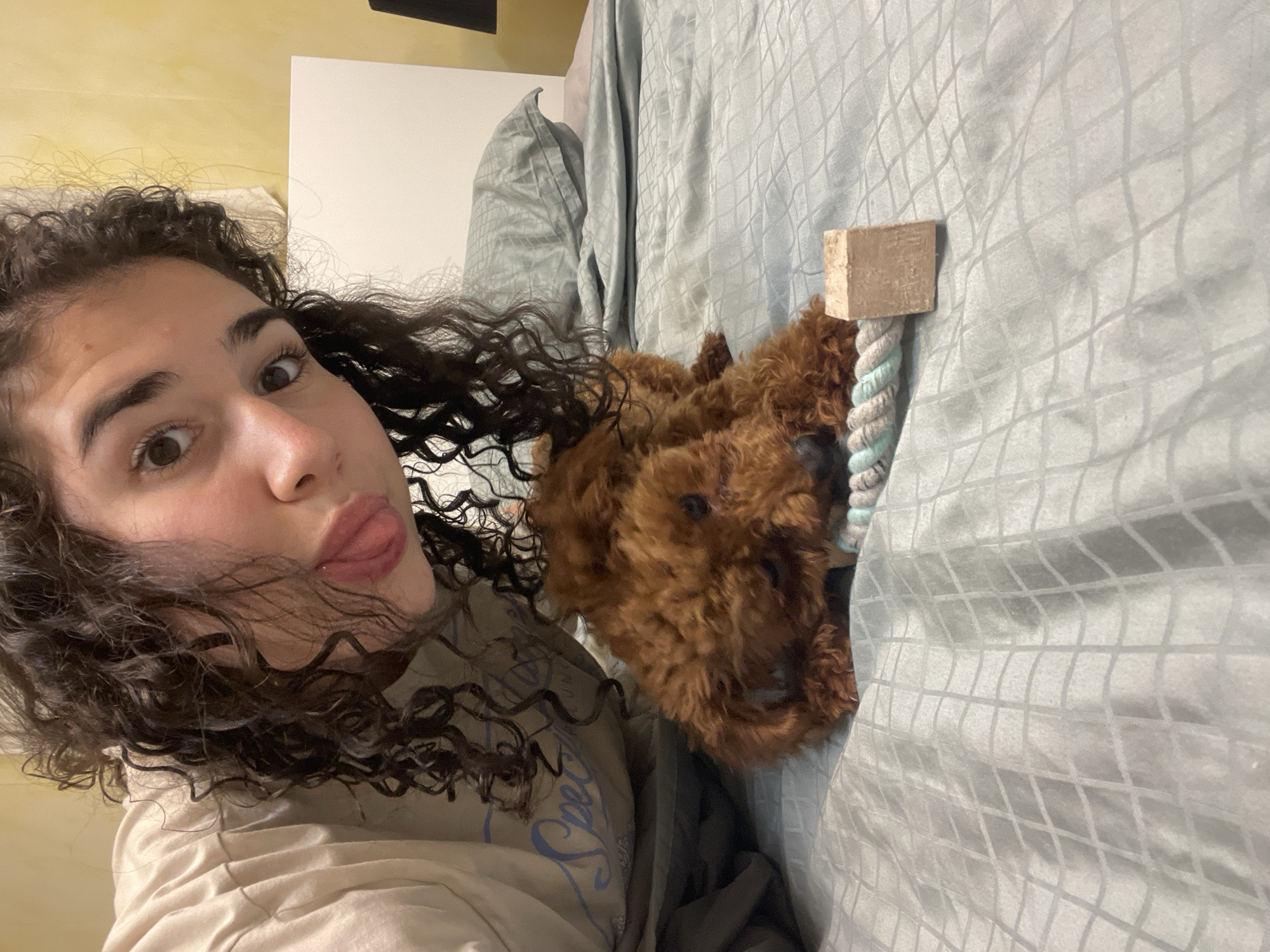 A woman with curly brown hair is lying down in a bed. She is wearing a light-colored t-shirt. She is sticking her tongue out at the camera. Next to her is a brown poodle puppy lying on a light gray quilted bedspread. A rope toy with a wooden block attached is nearby. The location is not identifiable as Sofia, Bulgaria from the provided image.