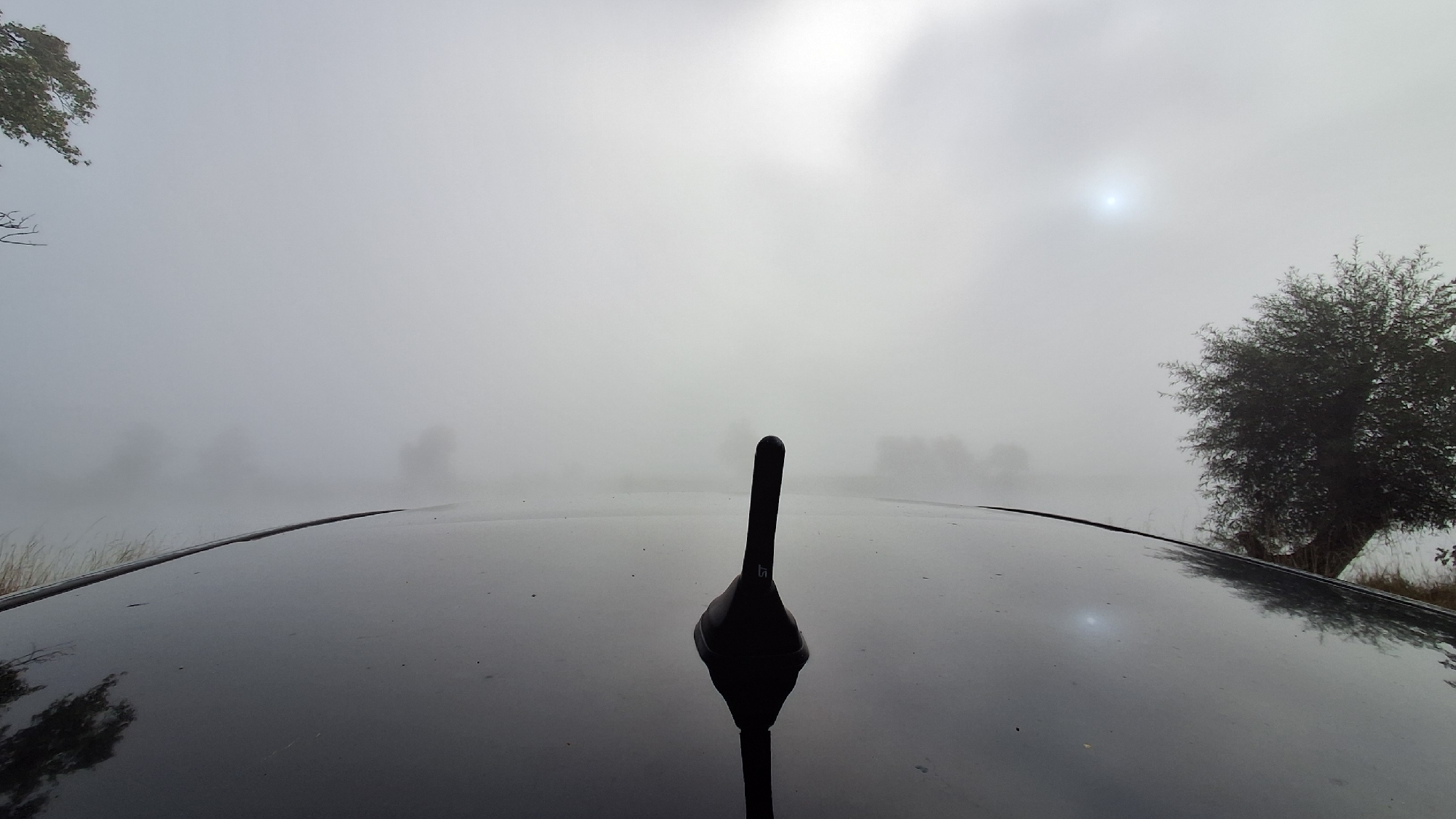 The image captures a car's roof covered in dew or rain, reflecting the overcast sky and surrounding environment. The foreground features the car's black, glossy surface, with an antenna prominently positioned in the center. In the distance, a thick fog blankets the landscape, obscuring trees and vegetation. The sun is faintly visible through the mist, creating a hazy glow in the sky. The scene suggests a damp, perhaps early morning, setting in a rural or semi-rural area. The overall atmosphere is serene and slightly melancholic due to the fog and subdued lighting. While the image does not explicitly show Osterhofen, Germany, the description of the natural elements and weather conditions could be consistent with a location in that region.