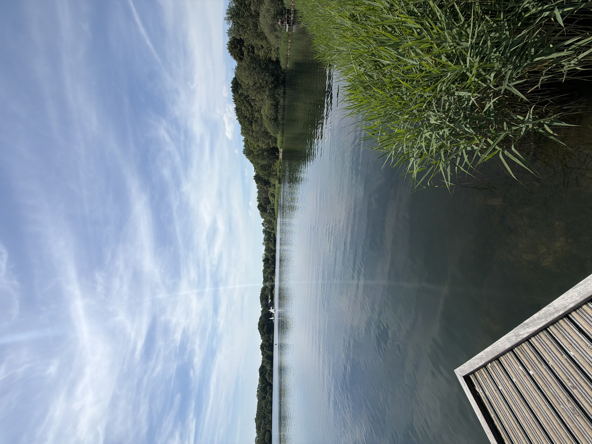 This image depicts a serene lake scene with a wooden jetty in the foreground. The lake is calm, reflecting the blue sky with wispy clouds and a sunbeam. The far bank of the lake is lined with dense green trees, suggesting a natural or park-like setting. In the distance, small sailboats can be seen on the water. Tall green reeds grow along the right edge of the lake. The overall impression is one of tranquility and nature. This scene could plausibly be located at the Provinciaal Natuurcentrum (Provincial Nature Center) in Turnhout, Belgium, known for its lakes and natural surroundings.