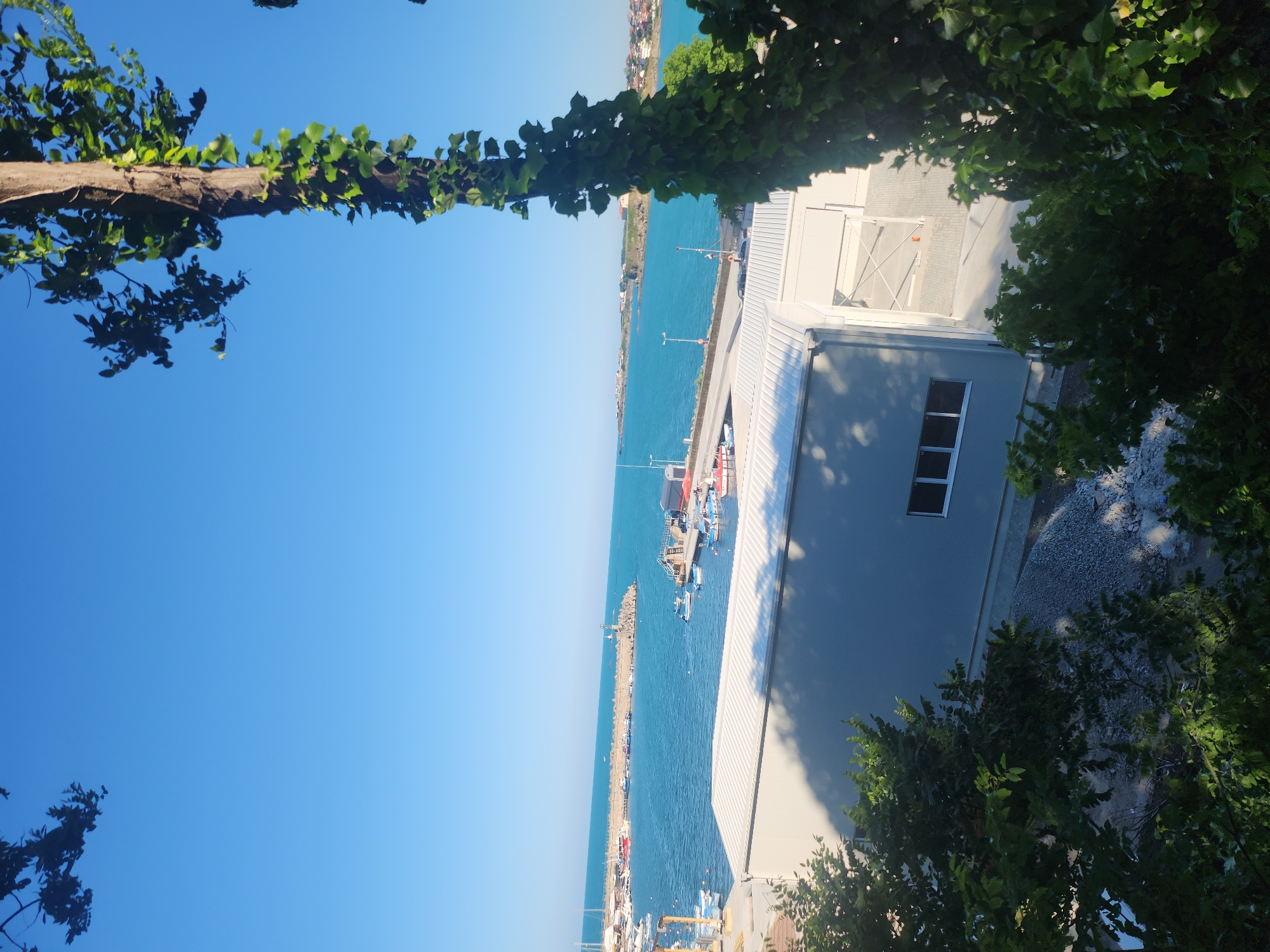 The image shows a view of the port in the city of Tsarevo, Bulgaria, on a clear, sunny day. In the foreground, a large tree with ivy growing up its trunk partially obscures the view on the right side of the frame, with leafy branches also framing the top and bottom left corners. Below the tree and in the center of the image is a modern, light-colored industrial building with a corrugated metal roof. Several windows are visible on its side. In front of the building, there is an area covered with gravel, suggesting construction or storage.
Beyond the building, the turquoise waters of the port are visible, dotted with numerous small boats and yachts moored along piers and breakwaters. A long, stone breakwater extends into the sea, with a lighthouse at its end. On the horizon, the coastline of Tsarevo is visible, with a scattering of buildings and trees against a bright blue sky. The water is calm and reflects the clear sky. No people are explicitly visible in the image, but the presence of boats and the building suggests activity within the port area. The overall scene depicts a vibrant coastal port in a Mediterranean or similar climate.