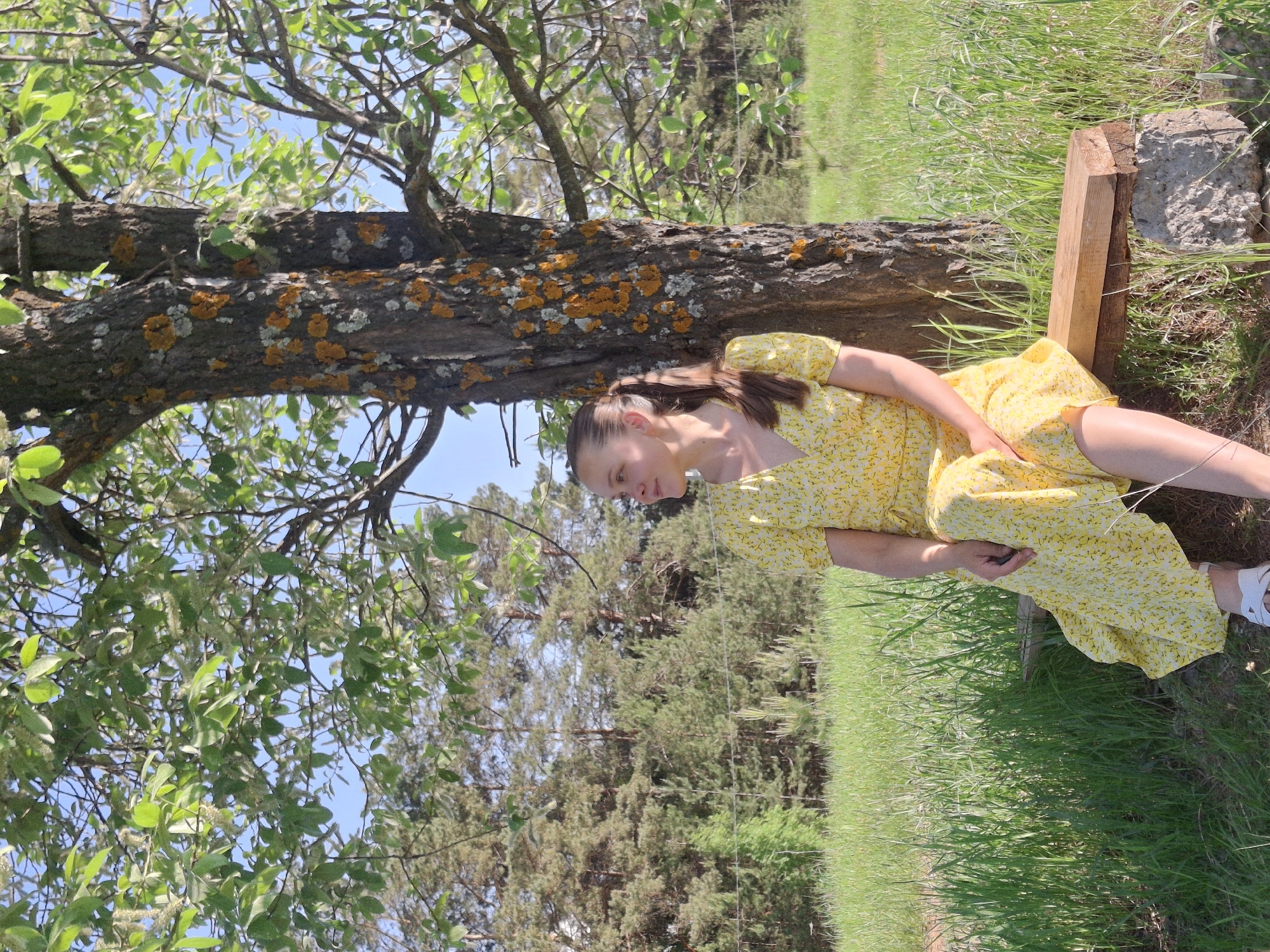 A woman in a yellow dress is reclining on a log in a grassy area. The log is partially covered in orange lichen. Trees with green leaves surround the area. The sky is blue. The location is Chaikovsky, Russia.