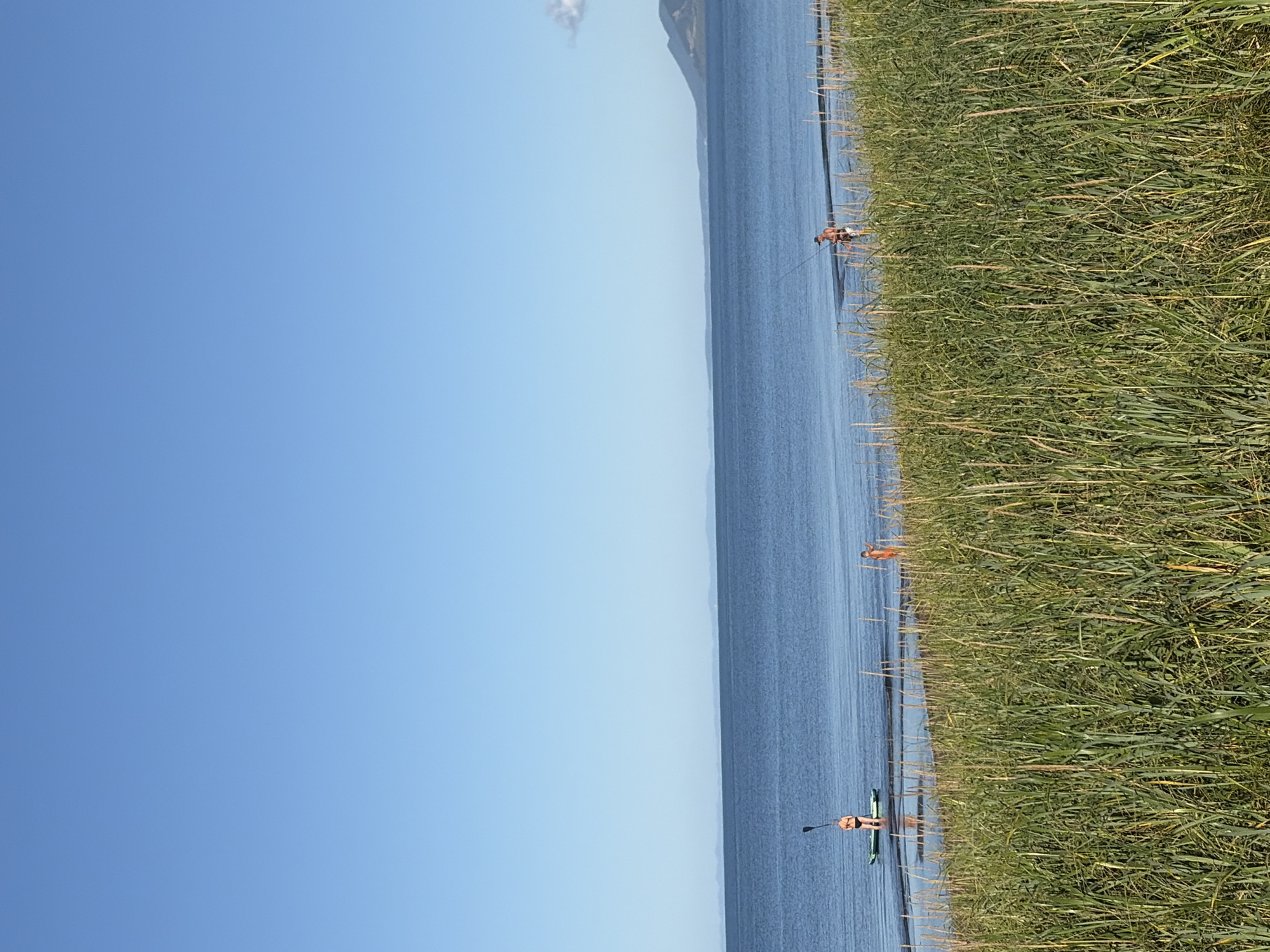 The image depicts a coastal scene with a clear blue sky and calm water. In the foreground, tall green grass lines the shore. Several people are visible in the shallow water. On the left, a person is standing on a paddleboard, holding a paddle. To the right of the paddleboarder, another person is standing in the water. Further to the right, a third person appears to be fishing with a rod and reel. In the distance, a hazy shoreline with mountains is visible under the expansive sky. The location is identified as Ozerskoe, Russia.