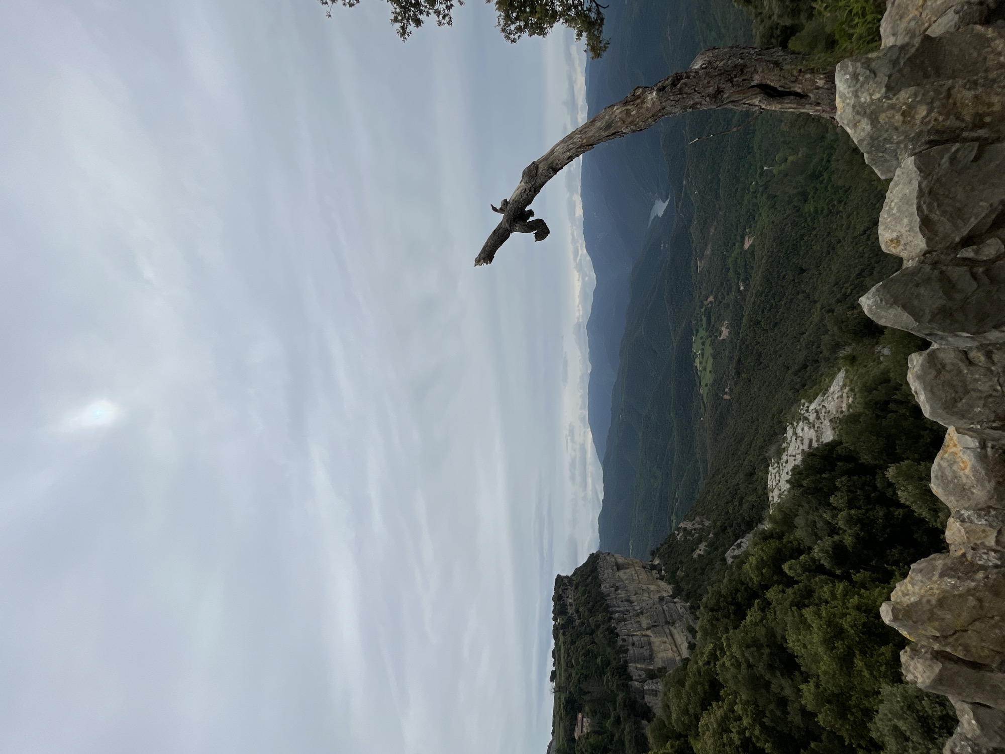 The image depicts a scene in Tavertet, Spain, from a high vantage point. A tree branch extends out over the edge of a rocky cliff. In the distance, mountains and a valley covered with trees are visible. The sky is overcast. No people are visible in the image.