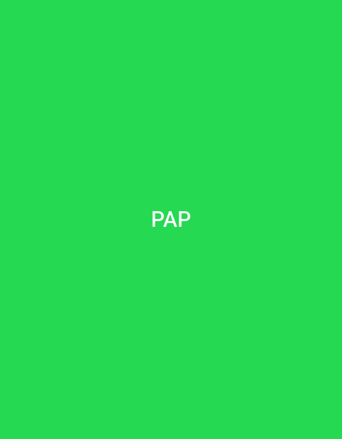 The image displays a solid, uniform green background. Centered horizontally and vertically on this background is the three-letter acronym "PAP" rendered in white, uppercase sans-serif text. There are no other discernible subjects, objects, people, actions, interactions, or environmental features present in the image. The image contains no visual information or contextual clues that would indicate a location in the city of Casablanca, Morocco, or any other specific geographic location.