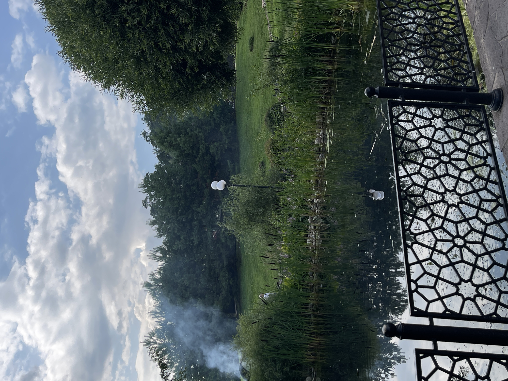 The image depicts a serene park scene with a pond in the foreground, reflecting the cloudy sky and surrounding greenery. A black, ornate metal fence runs along the edge of the pond. Tall reeds and cattails line the pond's edge, with a well-maintained grassy area and dense evergreen trees forming the background. A single person, possibly a man, is visible standing near a dense patch of bushes in the middle ground, with a plume of white smoke rising behind him, suggesting a barbecue or outdoor cooking activity. A lamppost with two spherical lights stands to the right of the person. The overall impression is that of a peaceful, possibly recreational, outdoor space. The location is identified as Izhevsk, Russia, implying this is a public park or a private estate within the city.