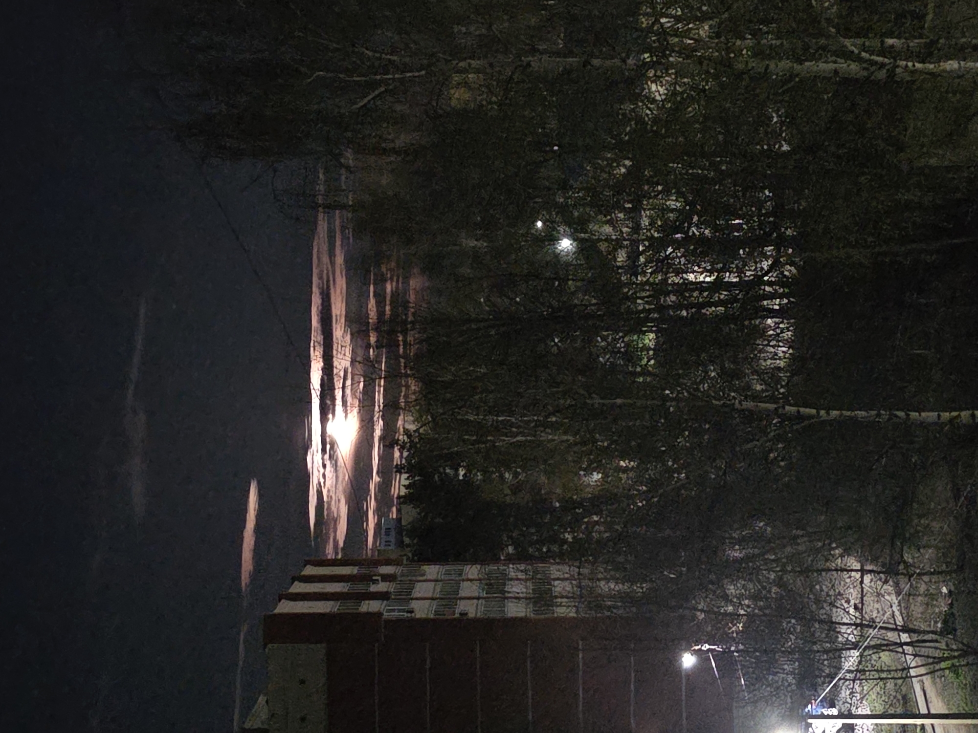 The image depicts an urban scene at night in an unknown location. A multi-story brick building is visible in the foreground. Reflected light illuminates the surface of what appears to be a body of water, possibly a river or lake, alongside the building. A dense cluster of trees with bare branches lines the opposite side of the water. Streetlights are present and provide illumination to the surroundings. There are no people immediately visible in the main portion of the image, but there are people near the streetlight in the lower right. The overall environment appears dark and somewhat indistinct.