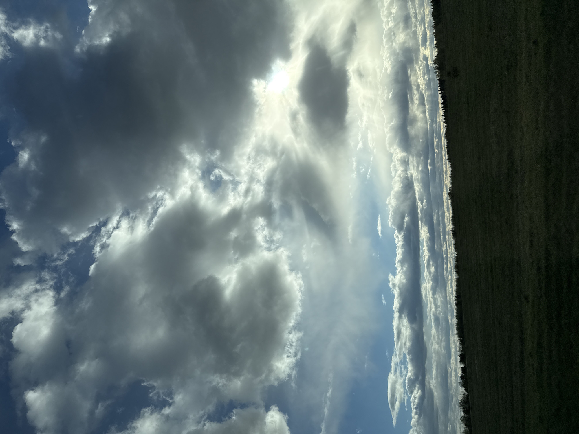 The image shows a view of the sky with dark and light clouds, with the sun partially visible behind some clouds. A thin line of trees separates the sky from a field, which occupies a small portion of the right side of the image. The photograph has been taken with the camera oriented vertically, resulting in a tilted perspective. The image doesn't provide any specific details to confirm its location as Полозово, Russia. There are no people or specific objects visible other than clouds, a field, and trees.
