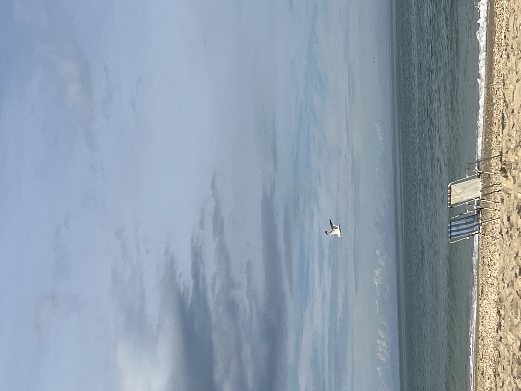 The image shows a beach in M'Diq, Morocco. The beach has pebbles and sand, and the water is a light green-blue color. Two beach chairs are set up near the water's edge. A seagull is flying in the sky. The sky is cloudy with patches of blue.