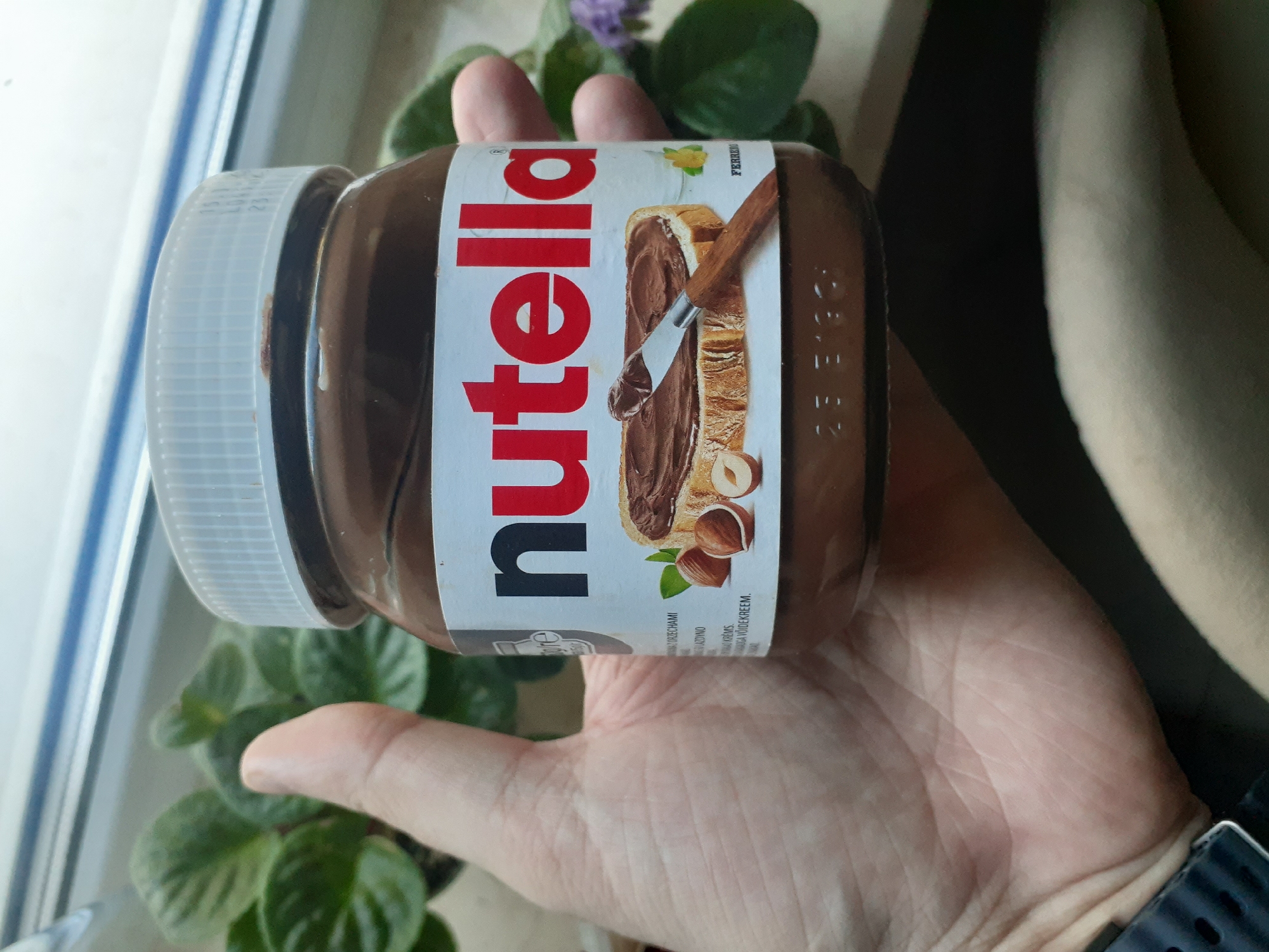 A close-up shot shows a hand holding a glass jar of Nutella. The jar is partially obscured by the hand and a plant in the background. The label on the jar features the iconic "Nutella" logo in large red letters and an image of toast with Nutella spread on it, accompanied by hazelnuts. The lid of the jar is white and ribbed. The background consists of green leaves of a plant, and a portion of a window frame. The overall setting appears to be indoors, near a window.