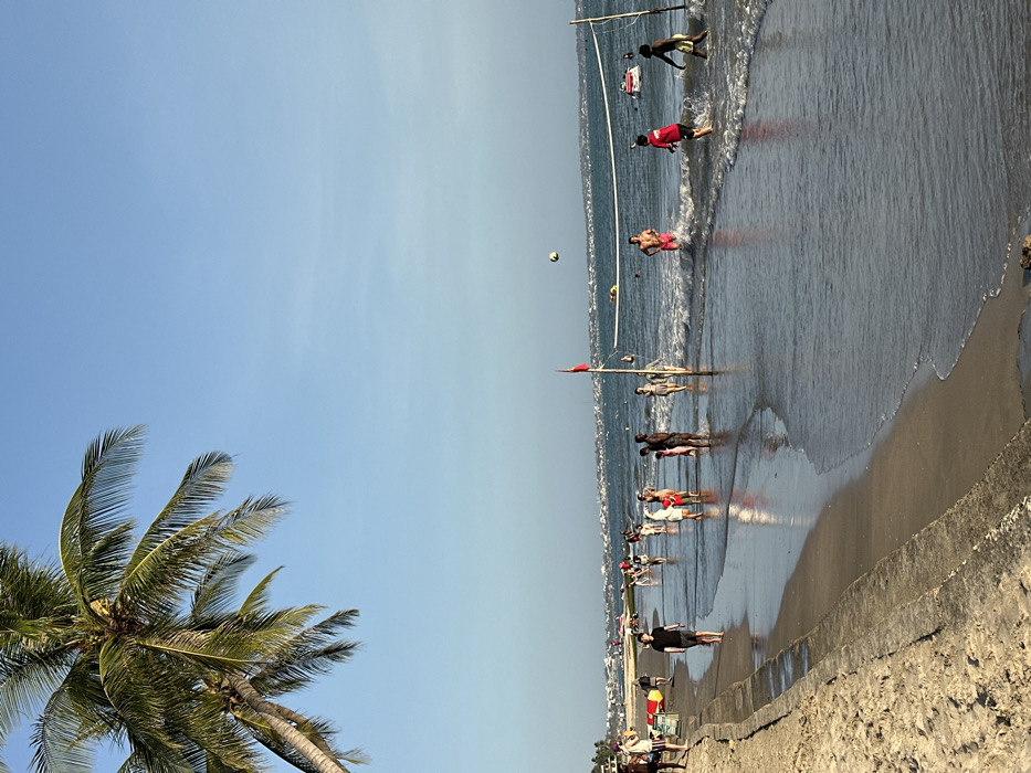 The image depicts a crowded beach scene in Thành phố Phan Thiết, Vietnam, under a clear blue sky. A large palm tree with visible coconuts is partially visible in the upper left foreground. Along the left edge, a concrete retaining wall separates a strip of dry sand from the wet shoreline where gentle waves break. Numerous individuals are present, predominantly in the shallow ocean water.
In the mid-ground, a volleyball net is set up in the water, supported by two posts, one displaying a red flag. Approximately five to eight people are actively playing volleyball in the water; a white volleyball is airborne above the net. Notable players include an individual in a red t-shirt and another in pink shorts.
Further along the shoreline, to the left of the volleyball game, multiple groups of people are wading, walking, or standing in the shallow water. On the immediate left, a person in a black t-shirt and dark shorts walks along the wet sand adjacent to the concrete wall. In the background, various small boats and watercraft, including a yellow inflatable and a white jet ski, are visible on the water. Distant buildings and structures of a coastal town line the horizon.
