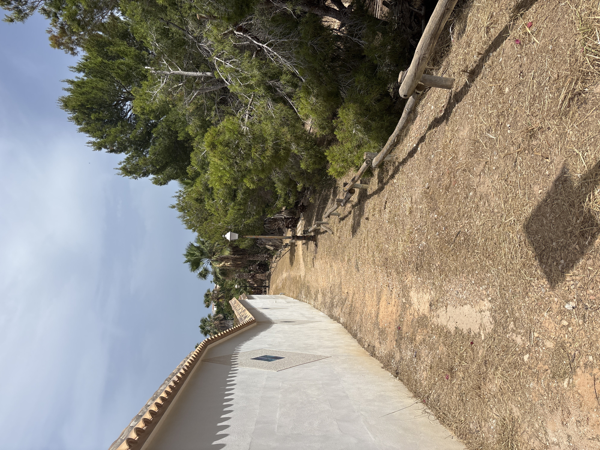 The image depicts a pathway bordering a textured white wall on the left and a dense area of trees on the right, with a simple wooden fence separating the path from the trees. The pathway itself is composed of dirt and dry, straw-like vegetation, with scattered small stones. The wall features a repeating pattern of diamond shapes, two of which are visible and contain a blue-tinted inset. A lamp post stands along the pathway, and palm trees are visible in the background, suggesting a warm climate. The sky is partly cloudy. The scene appears to be an outdoor walkway, possibly in a residential or park area. The image does not contain any people or evidence of recent human activity. The overall impression is of a dry, sunny environment. The location is not specified in the image, but the architectural style and vegetation could be consistent with areas in Orihuela, Spain, known for its Mediterranean climate and traditional building designs.