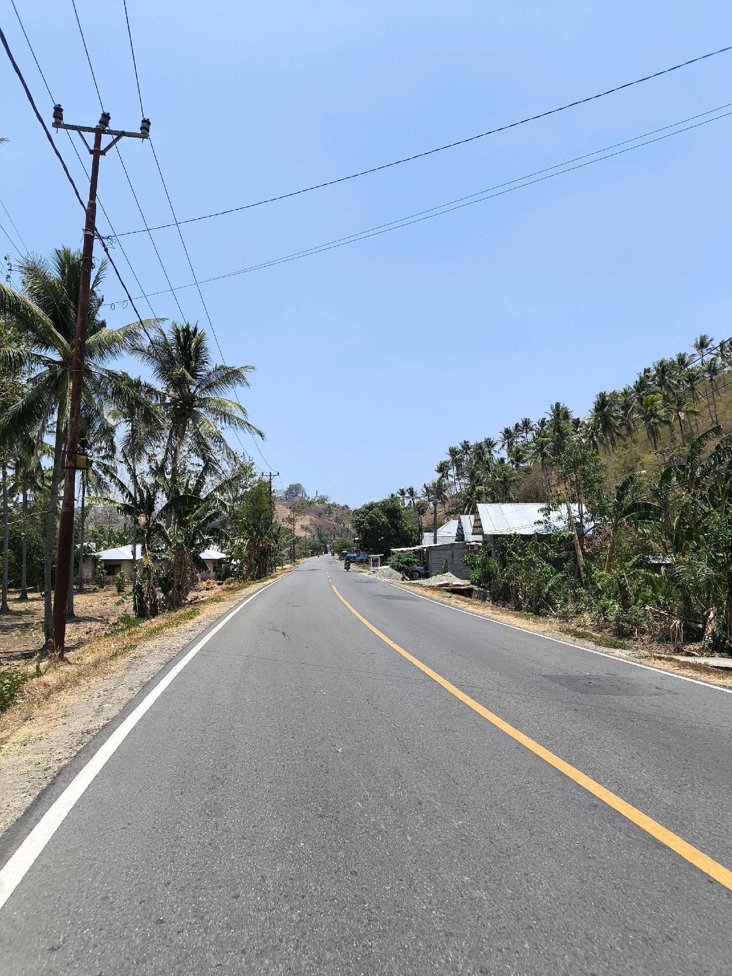 The image shows an empty, asphalt road with a yellow dividing line in the center, stretching towards a distant, hazy horizon under a clear blue sky. The road is bordered by dry, sandy ground on the left and a dense line of palm trees and other vegetation on the right, with a few small houses nestled amongst them. A utility pole with wires stands prominently on the left side of the road, near the foreground. The scene appears to be in a rural or semi-rural coastal area of Indonesia.
