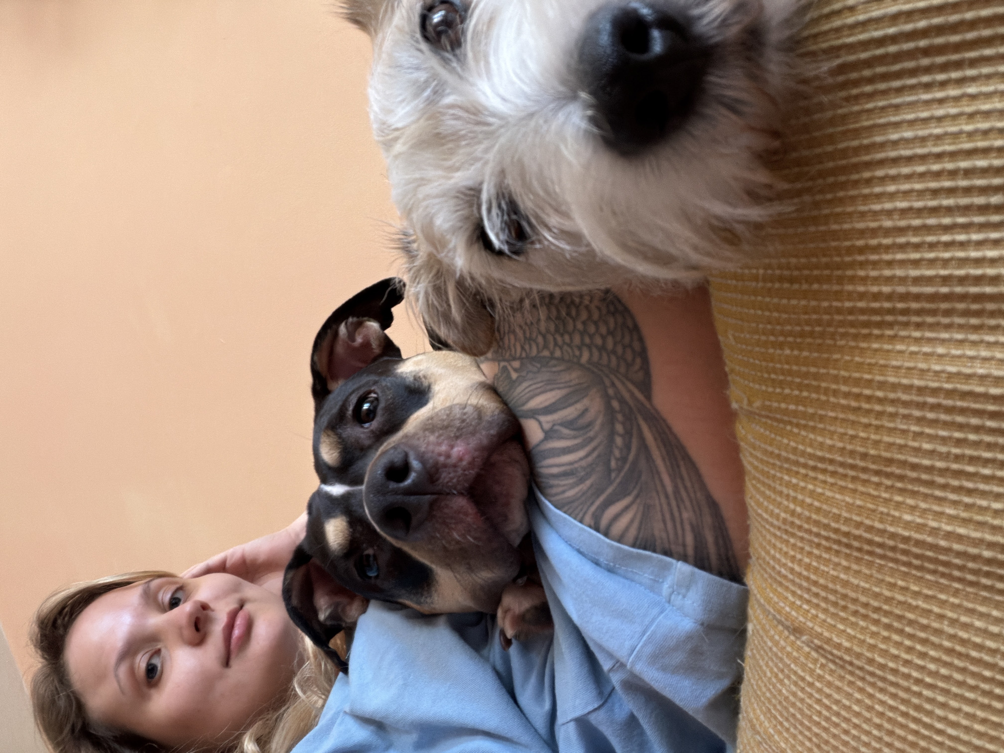 The image shows a woman lying on a couch with two dogs. The woman is fair-skinned with blonde hair and is looking at the camera. One dog is a white, terrier-type breed, and the other is a smaller, black and tan dog that is nestled against her shoulder. The woman has a tattoo on her upper arm. The couch is upholstered in a textured, yellow fabric. The background is a plain, peach-colored wall. There is no information to indicate this scene is in Tel-Aviv, Israel.