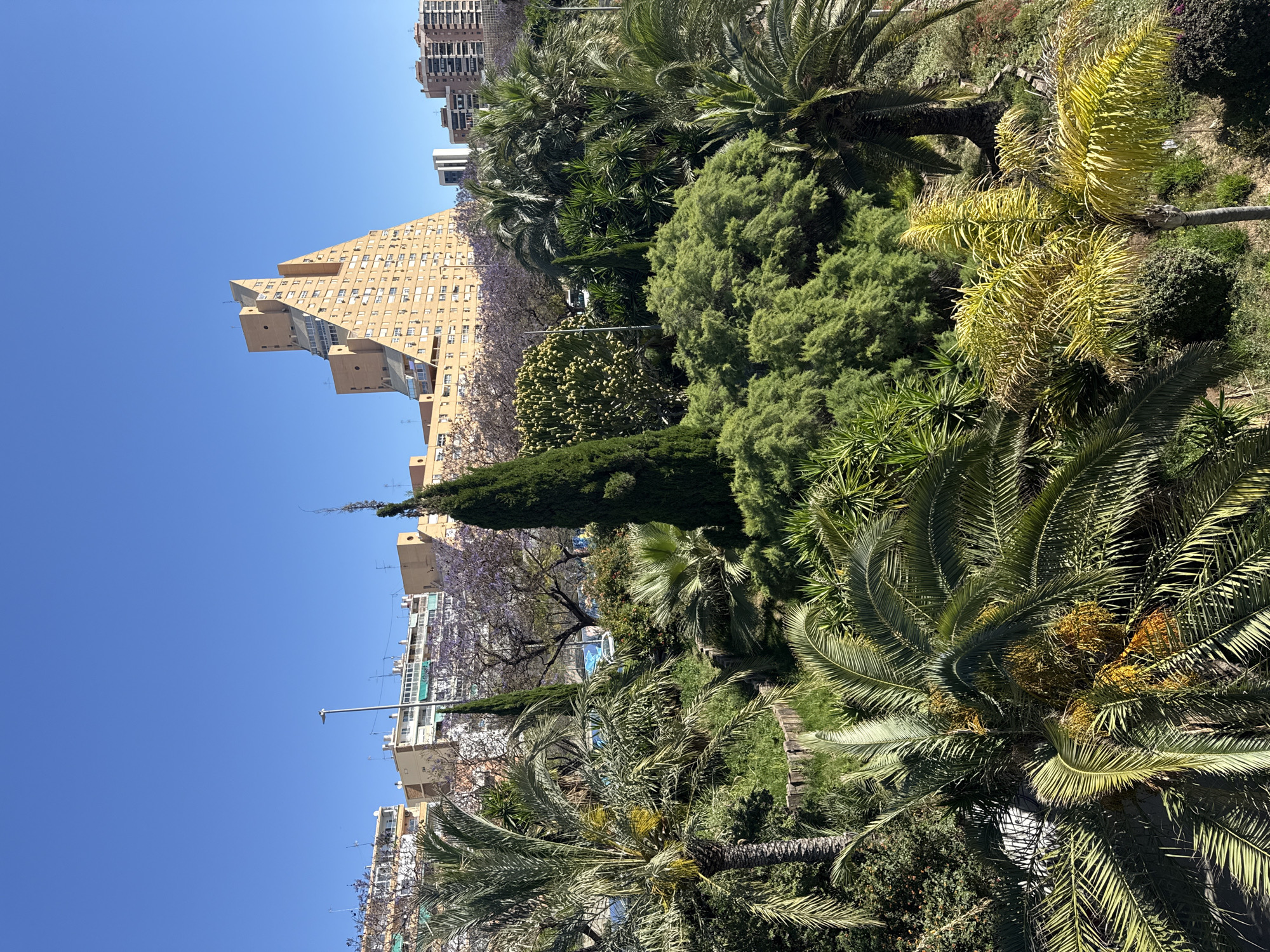 The image shows a cityscape with a mix of buildings and lush greenery. The focal point is a tall, pyramid-shaped building with a yellow-beige facade and numerous windows. Adjacent to this building are other high-rise buildings, which appear to be residential apartments. The foreground is filled with dense vegetation, including palm trees, shrubs, and trees with flowering branches. The sky is clear and blue. The location is Unknown, Unknown.