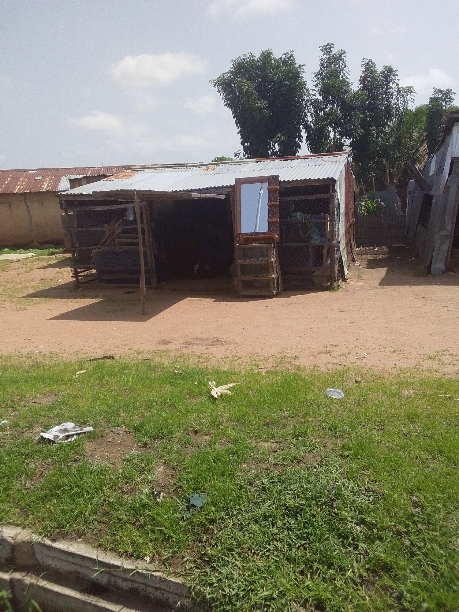 This media file depicts an outdoor scene in Jalingo, Nigeria, under a bright, cloudy sky, suggesting it's daytime. The primary subject is a rustic, open-sided shelter constructed with corrugated metal roofing and wooden supports. Inside, the shelter appears to be a small shop or storage area, with shelves visible and what looks like mesh fencing. A prominent object in front of the shelter is a freestanding mirror with an ornate, dark-colored frame, possibly placed there for display or use. To the left of the shelter, an older building with a rusty corrugated roof is partially visible. The ground in front of the structures is sandy dirt, with patches of green grass along the foreground and to the left. Some scattered debris, including what appears to be white paper or plastic, is visible on the grass and dirt. Tall green trees with dense foliage rise in the background behind the shelter, adding to the tropical or sub-tropical feel of the location. The scene conveys a sense of everyday life in a rural or semi-urban setting, with no discernible activity or people present. The overall impression is one of simplicity and a slightly unkempt environment.