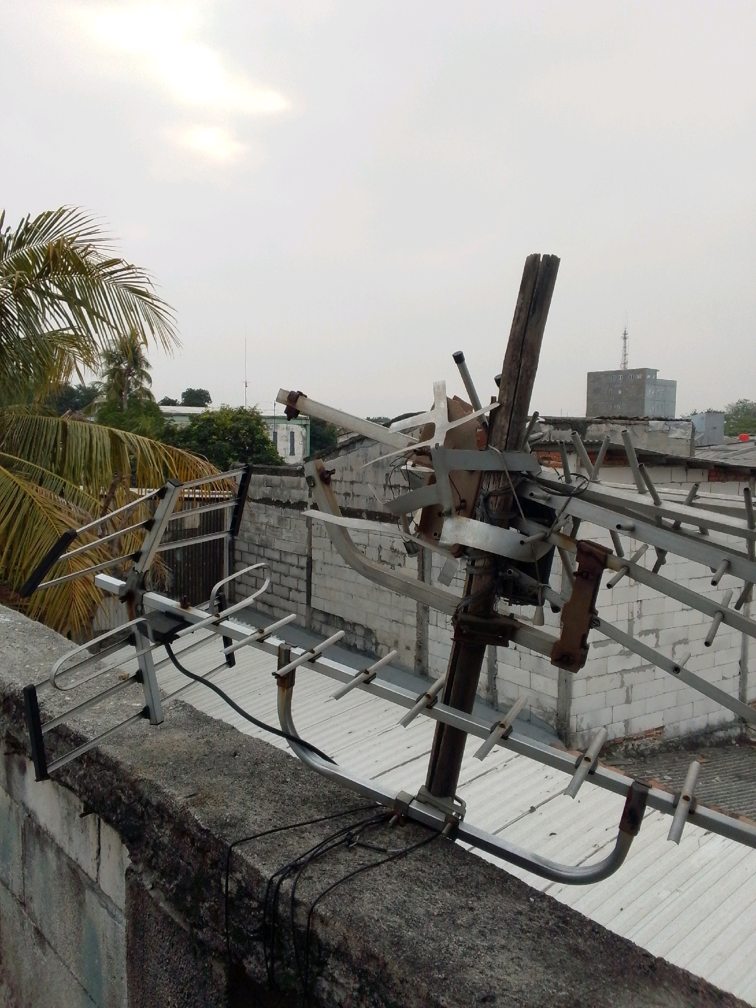 An overcast sky looms above a rooftop scene in East Jakarta, Indonesia. In the foreground, a rough, weathered concrete wall runs horizontally, with black cables neatly bundled and secured to its surface. A complex network of metallic antennas, primarily silver, dominates the center and right of the frame, attached to a weathered wooden post. These antennas exhibit a layered, directional design with numerous rods. Behind the antennas, a series of white brick buildings with corrugated metal roofs are visible. Lush green palm fronds from a tropical tree on the left side of the image provide a touch of nature amidst the urban landscape. In the background, a modern, multi-story building with visible windows stands out, topped with a communication tower. The overall impression is one of a densely populated urban environment with various forms of communication infrastructure.