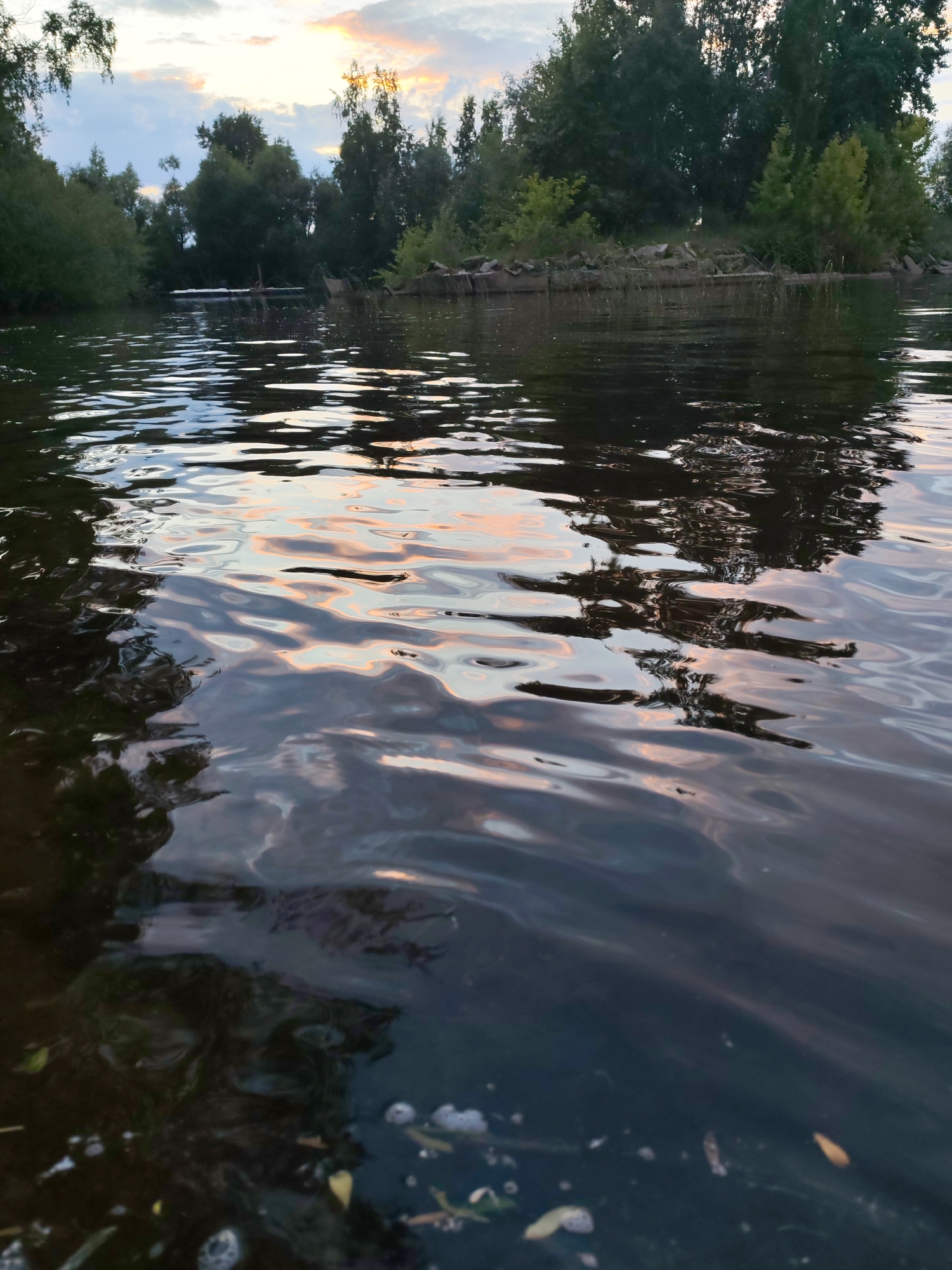 The image depicts a body of water, likely a river or a lake, with reflections of trees and the sky on its surface. The water has ripples, suggesting a gentle movement. The sky shows soft clouds tinged with the colors of a sunset or sunrise, with shades of orange and pink visible. The shoreline is lined with dense green trees and some rocks. In the distance, there appears to be a small, light-colored structure on the water, possibly a boat or a raft. The overall impression is of a tranquil natural scene at dusk or dawn. The location is identified as Chaikovsky, Russia. There are no people or animals visible in the image.