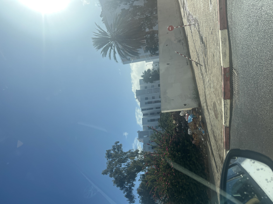 The image depicts an outdoor daytime scene in Skhirat, Morocco, captured from inside a vehicle. A bright blue sky with scattered white clouds dominates the upper portion, with strong sunlight originating from the upper right, casting distinct shadows across the scene. The foreground consists of a dark, wet asphalt road, a red and white striped curb, and a light-colored paved sidewalk with a visible storm drain grate. The vehicle's passenger side mirror is partially visible in the lower left.
In the middle ground, a low, light-colored concrete wall extends horizontally. Behind this wall, a dense area of vegetation includes a large bush with small pink flowers and several taller trees. Adjacent to the vegetation, a significant accumulation of trash, including plastic bags and miscellaneous debris, is visible on the ground behind the wall. On the sidewalk in front of the wall, a red and white striped pole leans diagonally, and a red circular "no entry" sign on a pole stands upright.
The background features multiple multi-story residential buildings, primarily white or light-colored, exhibiting modern architectural elements such as balconies and roof structures. These buildings are interspersed with trees, notably a prominent palm tree on the right side of the frame. No individuals are present in the scene.