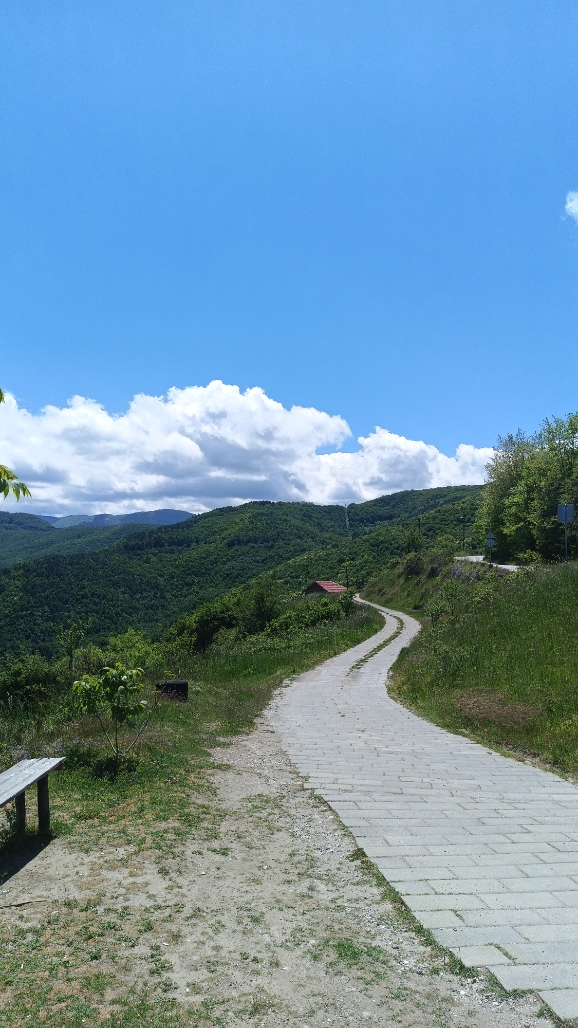 The image shows a winding paved path leading up a hillside, likely a road or trail, near Oreshets, Bulgaria. The path is constructed of gray rectangular paving stones. To the left of the path is a dirt and grass area with a wooden bench, and to the right is tall grass. The hillside is covered in lush green trees and vegetation. In the distance, a small building with a red roof can be seen along the path. The sky is blue with scattered white clouds. No people are visible in the image.