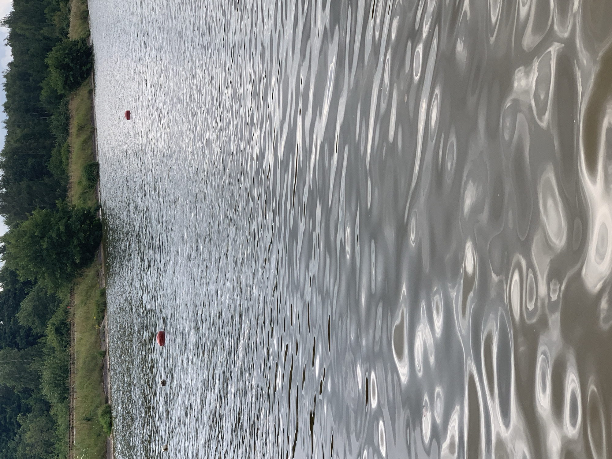 The image shows a body of water with a treeline in the background, possibly a lake or reservoir. There are several red buoys visible in the water. The water surface is rippled, reflecting the overcast sky and surrounding foliage. The environment appears natural and undeveloped. No people or specific landmarks are identifiable. The location is in Грозаўскі сельскі Савет, Belarus.