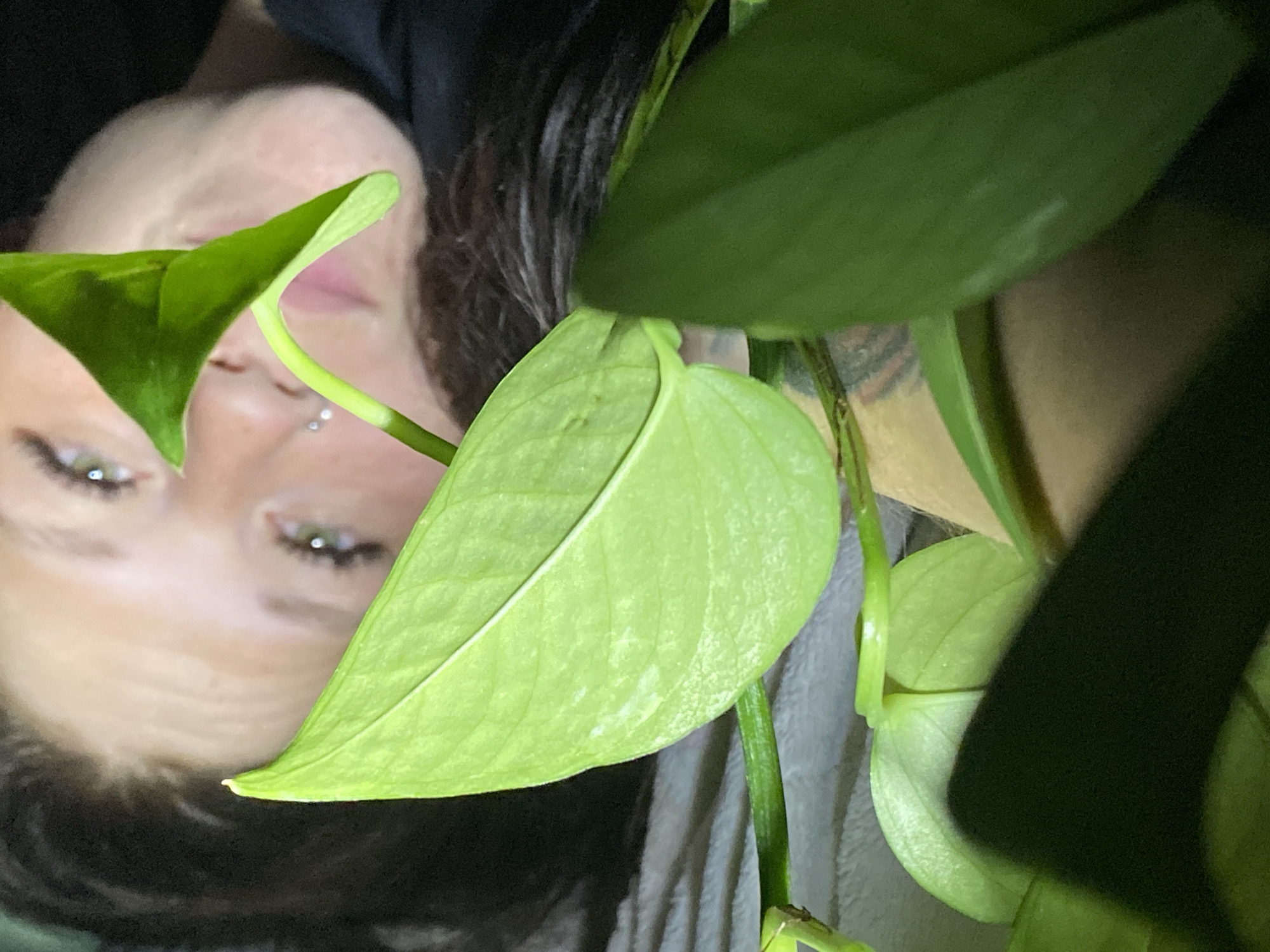 The image is a close-up, low-angle shot of a person's face, partially obscured by large green leaves of a houseplant. The person appears to be female, with dark hair, green eyes, and visible facial piercings, including a nose ring and two lower lip piercings. The background is dark and indistinct, suggesting an indoor environment. The lighting is dramatic, with the leaves casting shadows and highlighting the person's features. The image does not provide any information about the location in Chaikovsky, Russia.