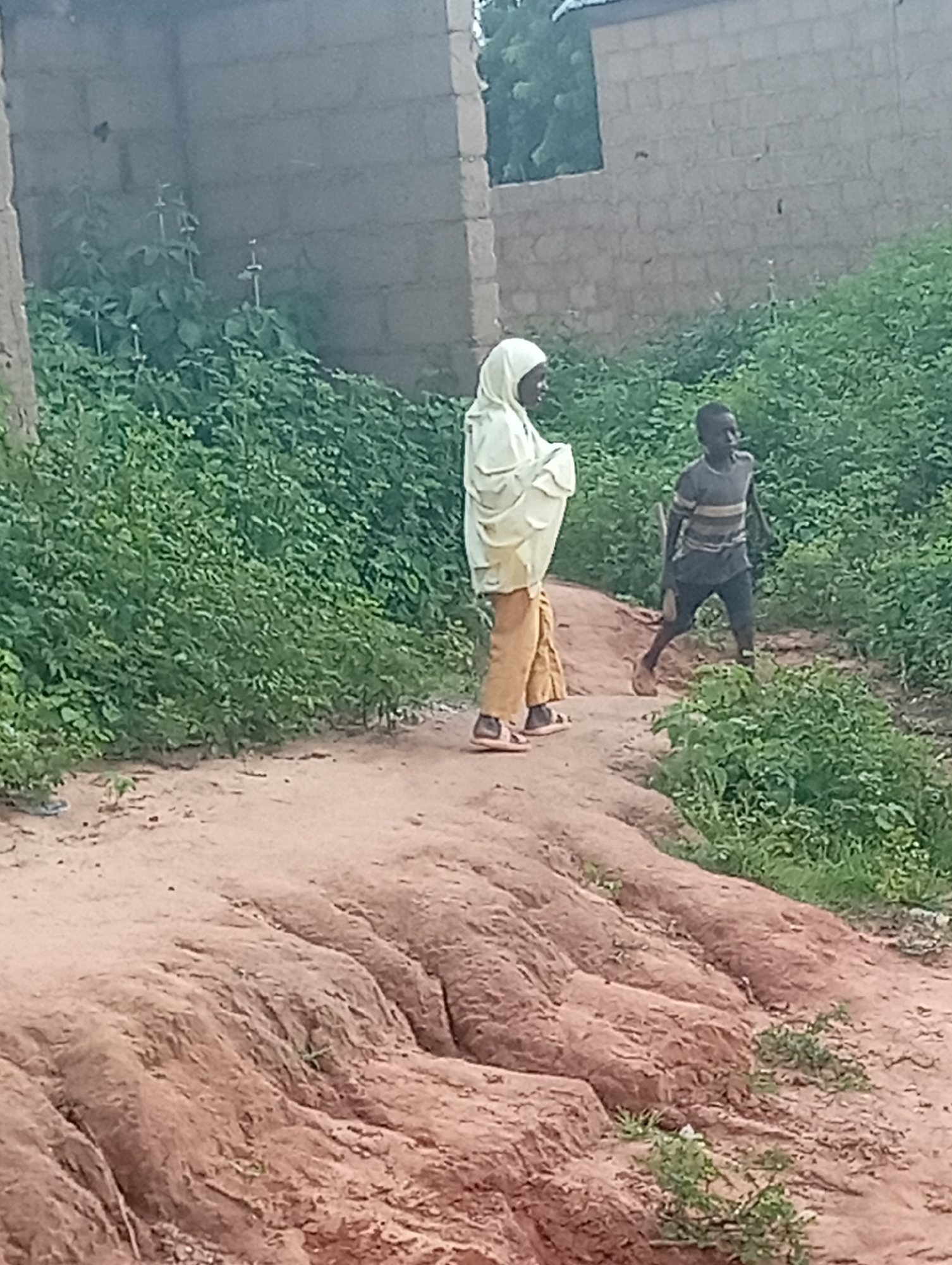 In Tumfure, Nigeria, two individuals are depicted in an outdoor setting with a rural or semi-rural ambiance. A person wearing a light-colored hijab and a mustard-colored outfit stands facing left, their body angled towards a dirt path. Next to them and slightly behind, a child in a striped t-shirt and dark shorts is walking towards the right, their gait suggesting movement. The environment is characterized by abundant green vegetation, which forms a dense backdrop. In the background, a wall constructed of grey bricks is partially visible, suggesting the presence of a building. The ground is a reddish-brown dirt path, with some eroded sections and sparse green growth. The lighting indicates it is daytime.