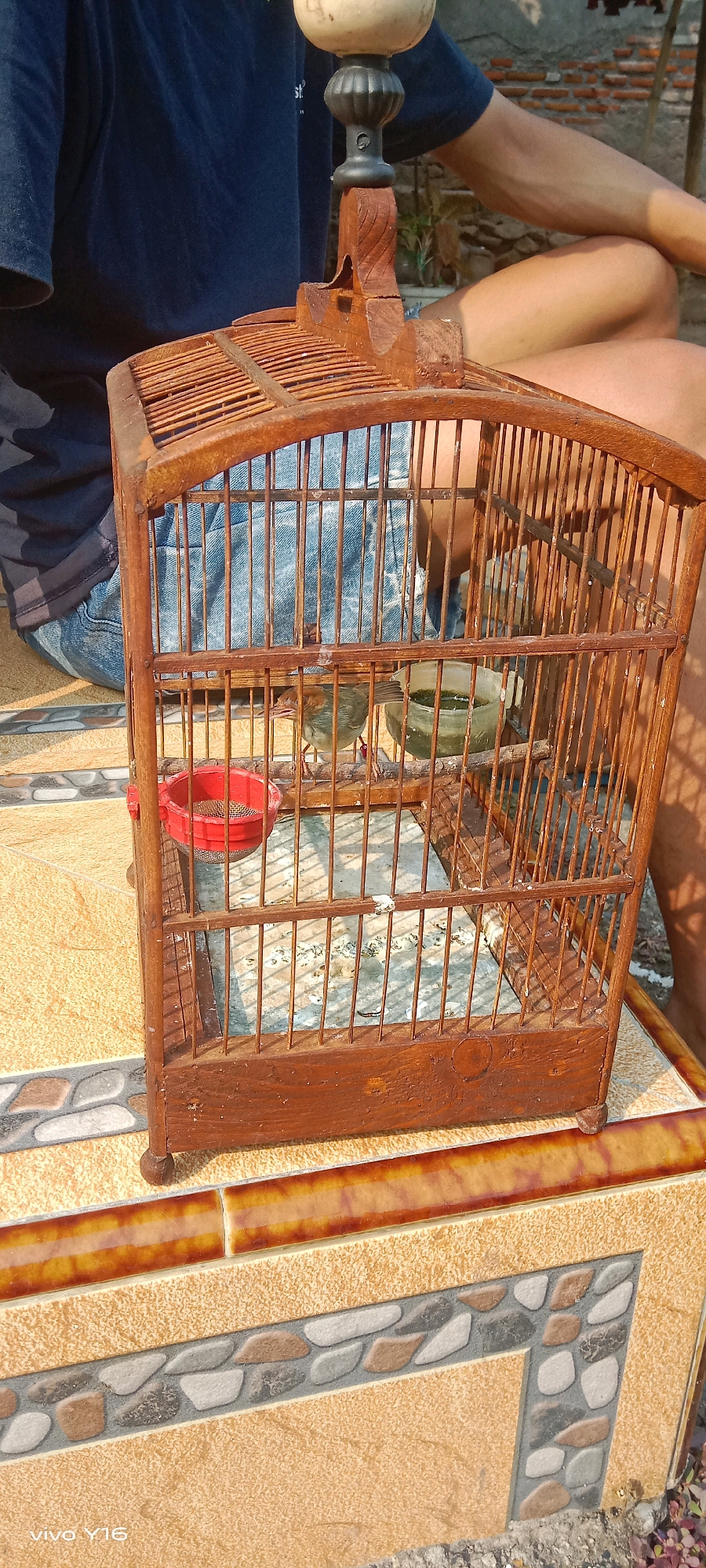 In the village of Semambung, Indonesia, a wooden birdcage sits on a tiled surface. Inside the cage, a small bird is perched on a wooden dowel. Next to the bird is a green bowl containing water, and in front of that is a red food dish. A person, partially visible, is sitting behind the cage, their legs crossed. The background is blurred, but appears to be an outdoor setting with some foliage.