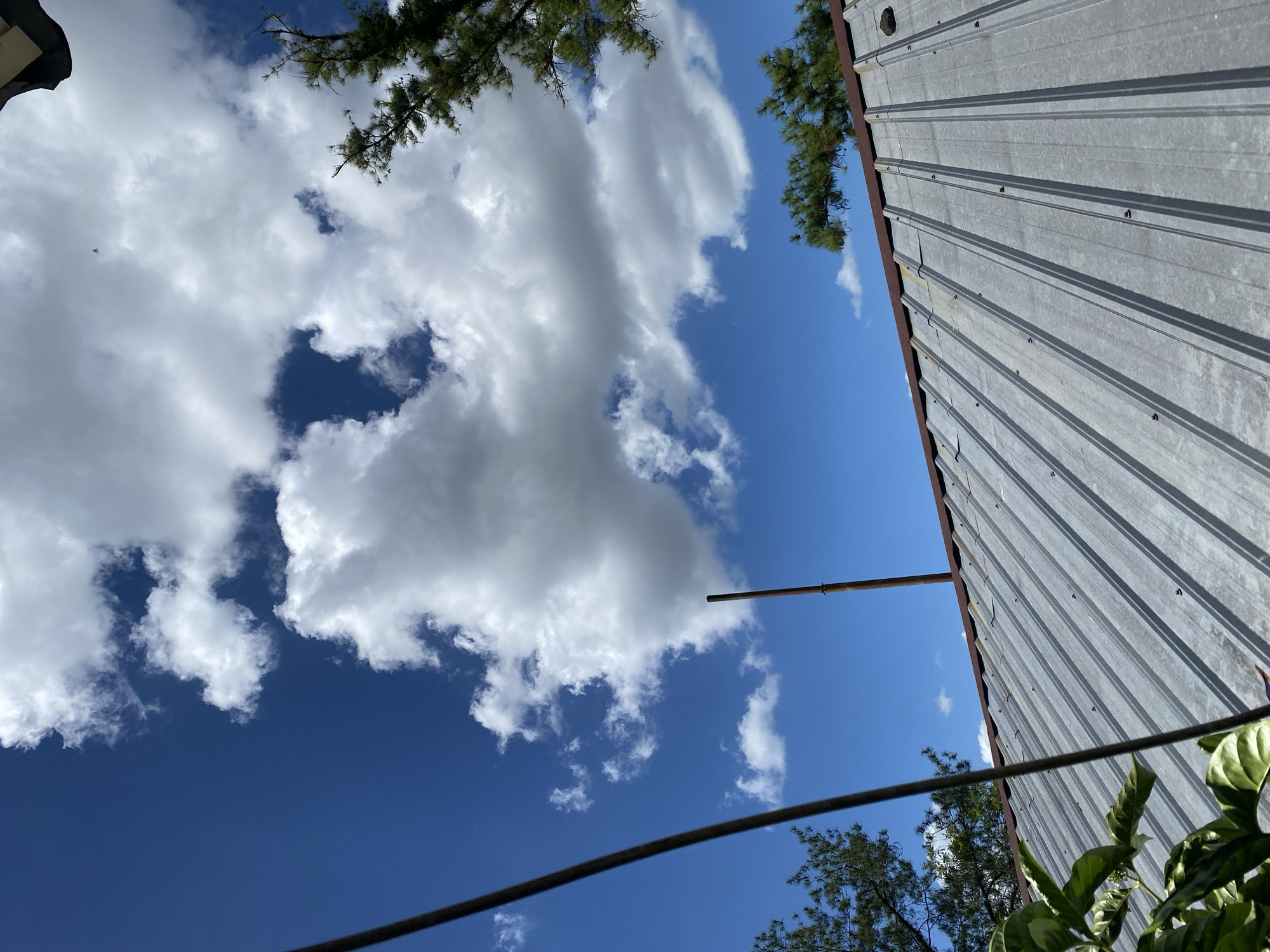 This image, captured from an elevated viewpoint in Banjarbaru, Indonesia, depicts a section of a gray corrugated metal roof. The roof is partially visible in the foreground, angled upwards towards the sky. Two thin, dark metal poles extend vertically from the roof. In the background, the sky is a vibrant blue, dotted with large, fluffy white clouds. To the right and left of the frame, the branches of green pine trees are visible, with some leaves of a darker green plant in the bottom left corner of the image. The overall impression is that of an outdoor scene on a clear, partly cloudy day.