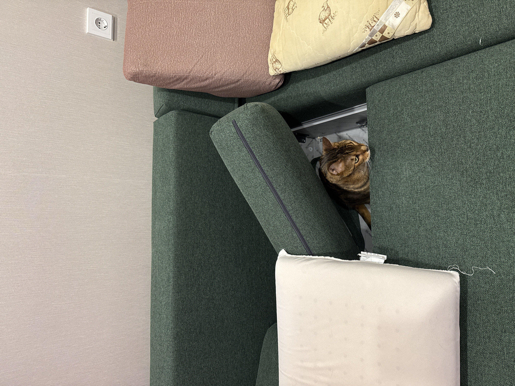 A photograph depicts a scene with a cat peering out from a sofa compartment. The sofa is upholstered in a dark green fabric and is surrounded by an assortment of pillows. One pillow is a light tan color with animal print, while another is a solid pink. A white pillow sits on the seat of the sofa. The wall adjacent to the sofa is a light beige color. A white electrical outlet is visible on the wall. The setting seems to be indoors, possibly a living room.
