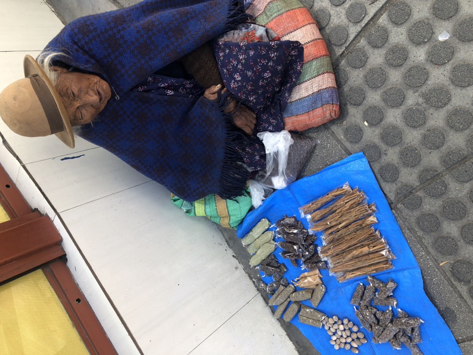 An elderly Indigenous woman is seated on a grey concrete sidewalk with circular raised patterns, positioned against a white tiled building facade featuring a brown window frame and a yellow screen, characteristic of an urban setting in La Paz, Bolivia. She wears a tan bowler hat, a blue and black houndstooth pattern wool shawl with fringe, fastened with a pin, and a dark blue floral-patterned dress. Her hands are visible beneath the shawl, resting in her lap. Her wrinkled face is directed downwards.
Displayed on a blue tarp in front of her are various items for sale: a cluster of light brown oval nuts, multiple clear plastic bags containing dark dried leaves, several elongated green-wrapped bundles, and numerous bundles of light brown dried plant material. Adjacent to her right side are a multi-colored striped woven bag and a clear plastic bag containing dark granular seeds. A green and light blue striped woven bag is also partially visible behind the items. The woman is stationary, displaying her merchandise.