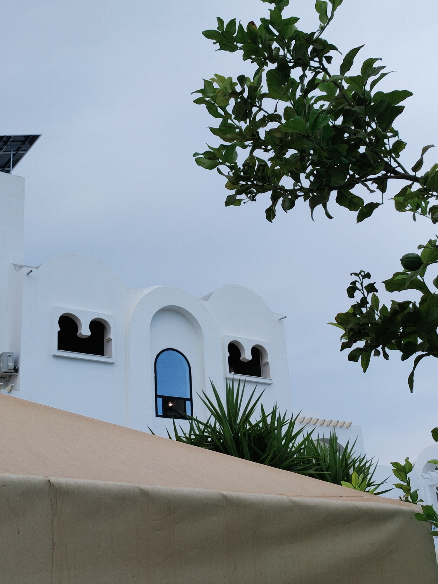 The image depicts a bright white building with distinctive architectural features, likely in Mrezga, Tunisia. The building has arched windows, one of which is a tall, narrow, arched window with blue glass. Above and to the right of this window, the building's facade curves. To the left, a smaller rectangular window features a double-arch opening. A solar panel array is visible on the top left corner of the building. Lush green plants, some with spiky leaves, grow in front of the building, and a light brown canopy partially obscures the lower portion of the scene. Green foliage from a tree or shrub with leaves and a small green fruit is prominent in the upper right portion of the image, framing the sky. The sky is overcast and appears light grey. There are no people visible in the image.