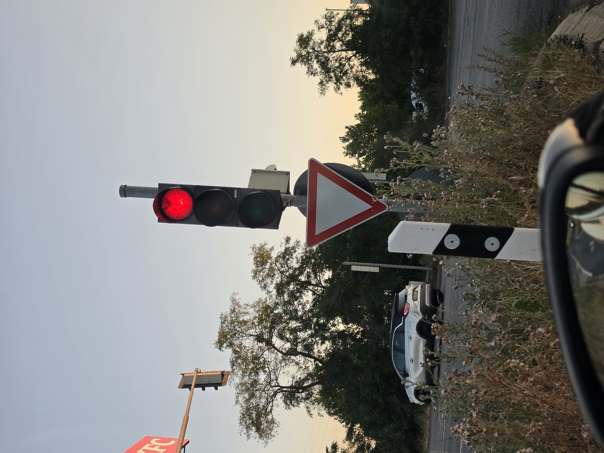In Bischofsheim, Germany, a traffic light displays a red signal, indicating a stop. A white car is parked on the side of the road, partially obscured by overgrown vegetation. A yield sign is visible beneath the traffic light. The scene is set against a backdrop of trees and a clear sky, suggesting an outdoor urban environment.