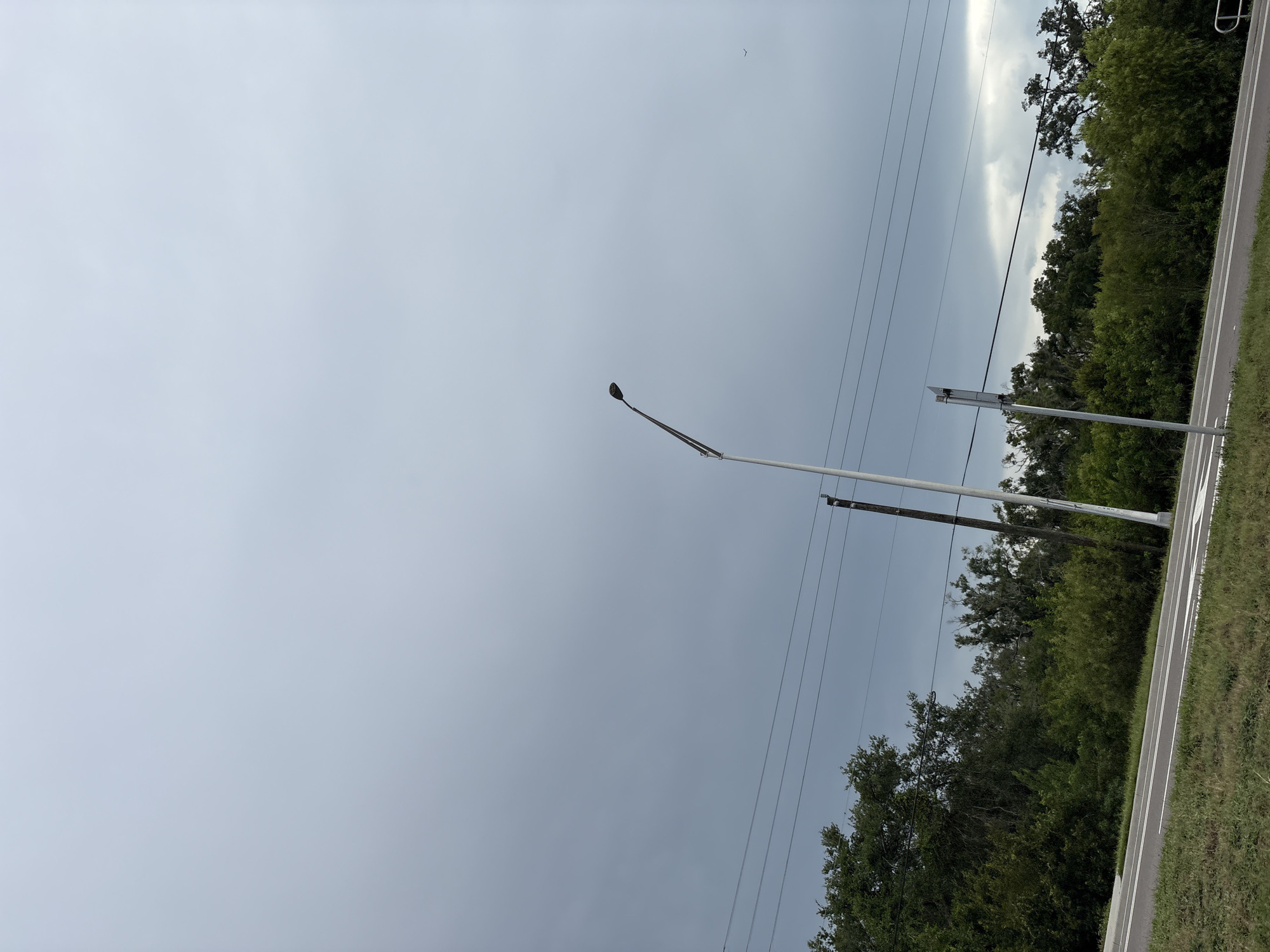 The image shows a road and a line of trees under a cloudy sky. A street light is visible in the center of the image. Power lines run horizontally across the sky. The road has white markings and a grassy shoulder. The trees are dense and green, suggesting a natural or semi-natural environment. There are no people visible in the image. The overall scene is overcast and appears to be during the daytime. No specific location in Bradenton, United States is identifiable from the visual information.