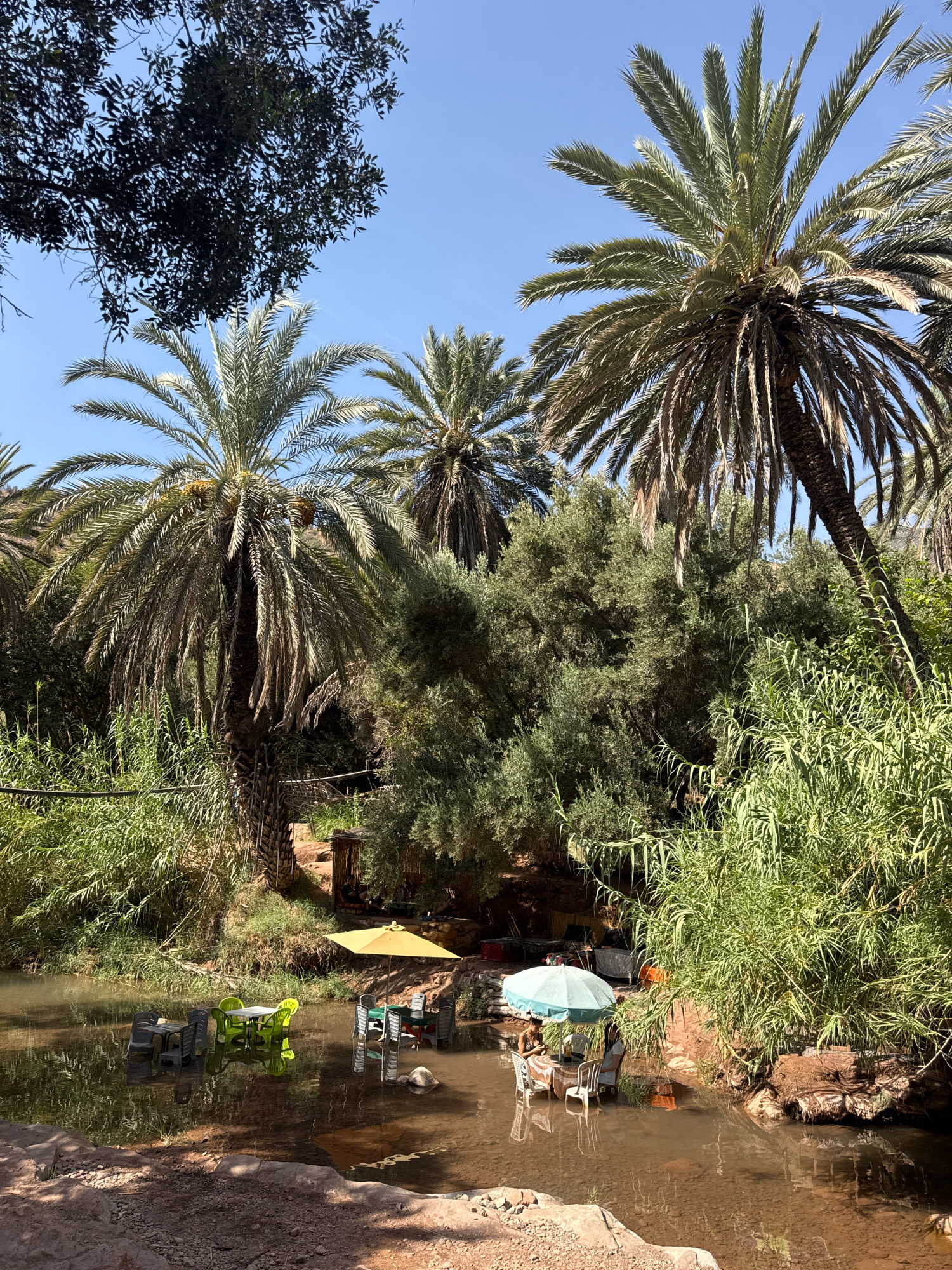 This image depicts an outdoor seating area within a shallow river, likely part of a restaurant or cafe. Several tables with chairs are submerged in the water, with some of the tables featuring umbrellas for shade. The environment is lush and tropical, with numerous palm trees and dense green foliage surrounding the river. In the background, there appears to be a small wooden structure, possibly a building or shelter. The water is clear enough to see the riverbed in some areas, and there are reflections of the trees and sky on its surface. The scene suggests a relaxed, natural setting for dining or leisure. This location is identified as a restaurant in Aqesri, Morocco.