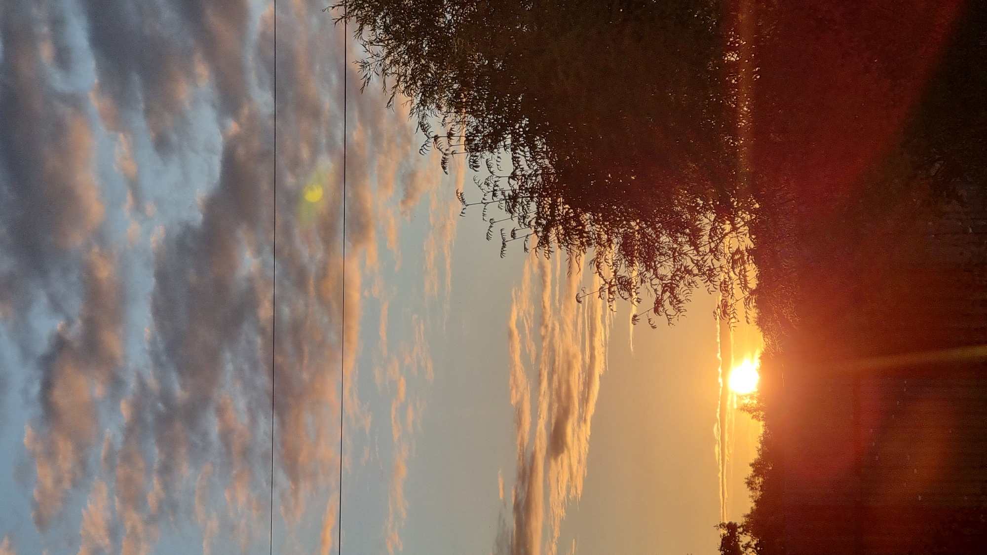This image depicts a sunset over a rural landscape, possibly in or near Vysokoe, Russia. The sun, a bright orb, is low on the horizon, casting a warm, orange glow. The sky is a gradient of blues and oranges, with scattered clouds tinged with pink and gray. Silhouetted against the vibrant sky are trees and foliage, with a prominent tree on the right side of the frame. The foreground is dominated by a deep red hue, likely due to the intense light of the setting sun reflecting off surfaces. A few horizontal lines, possibly power or telephone lines, stretch across the upper portion of the image. No people are visible.