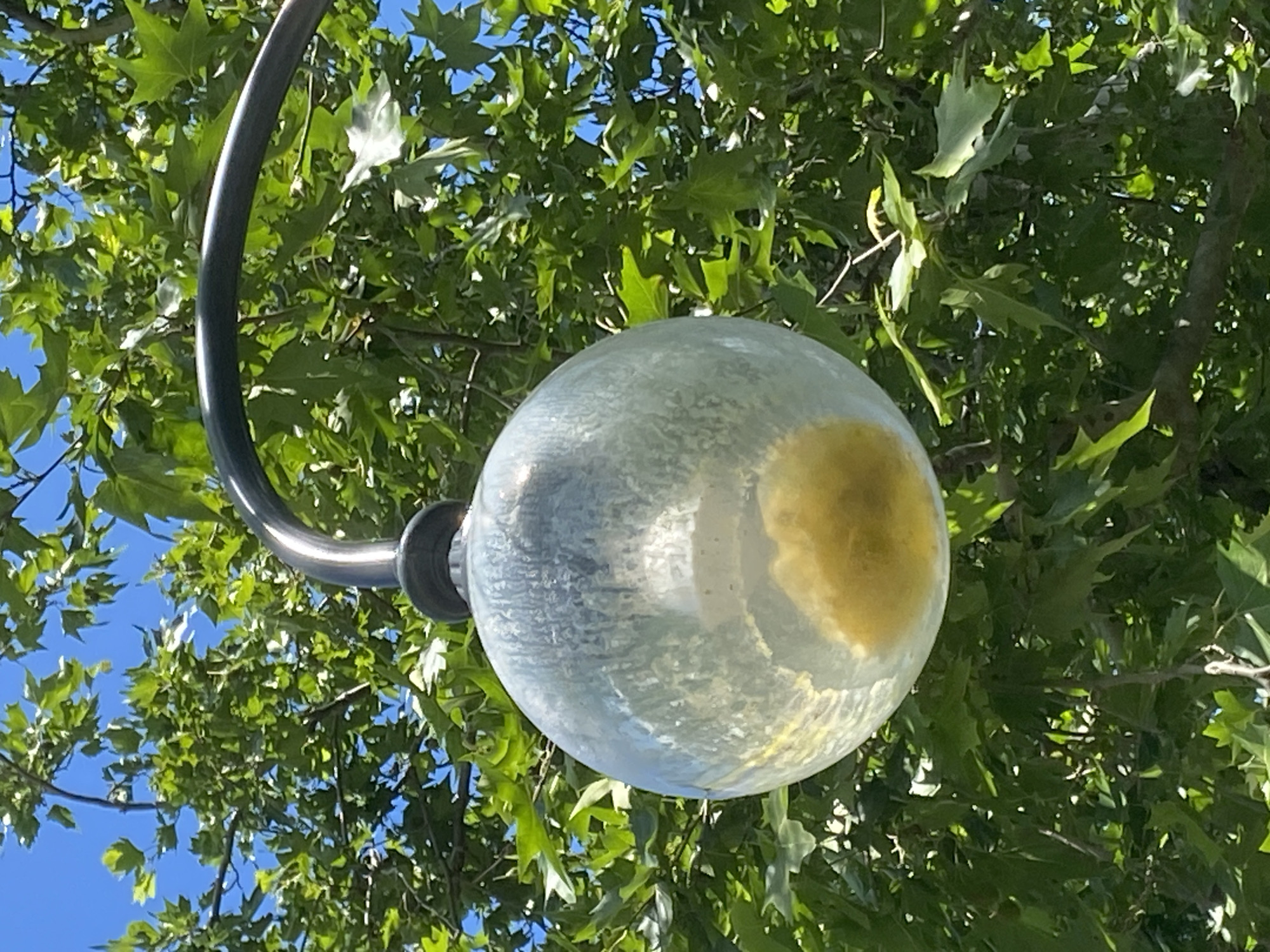 A low-angle outdoor shot shows a spherical glass street lamp with a yellow object inside, likely accumulated debris or nesting material. The lamp is partially obscured by the lush green foliage of a tree, with branches and leaves dominating the background. The bright blue sky is visible through the gaps in the leaves. A dark, curved metal arm supports the lamp. The scene is indicative of a street or park area in Varna, Bulgaria, given the prevalence of such street lighting in urban green spaces. No people are present.