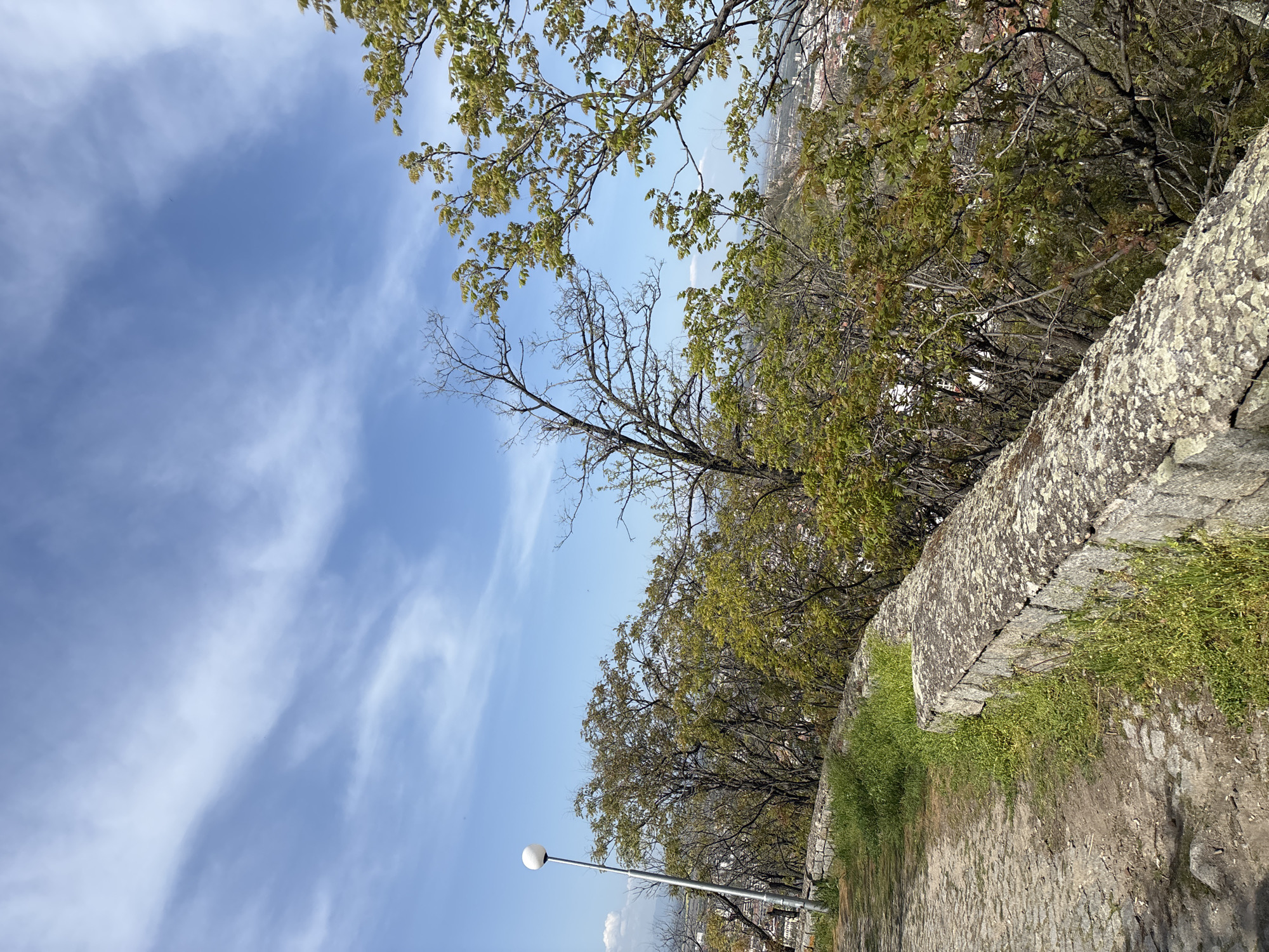 This image captures an outdoor scene on a bright, sunny day, likely from an elevated perspective overlooking a city. The upper and left portions of the frame are dominated by a clear blue sky, adorned with scattered, wispy white clouds.
In the foreground, a sturdy stone wall extends diagonally from the bottom right towards the mid-right. This wall exhibits a weathered texture, covered in patches of lichen and moss, with vibrant green grass growing over its top and along the adjacent ground, which appears to be a worn stone path.
The mid-ground and background are filled with numerous trees. Many are lush with full green foliage, suggesting spring or early summer, while others have bare, skeletal branches, providing a contrast in textures. Through the gaps in the tree canopy, particularly towards the left and in the distance, parts of a cityscape with buildings are visible, indicating an urban area below.
A modern-style street lamp, featuring a slender metal pole and a spherical white light fixture, stands in the lower-left quadrant. The bright, even lighting suggests it is midday. The scene conveys a sense of peace and natural beauty, characteristic of a park or historic area on a hillside, such as found in Plovdiv, Bulgaria. No people or visible text are present in the image.