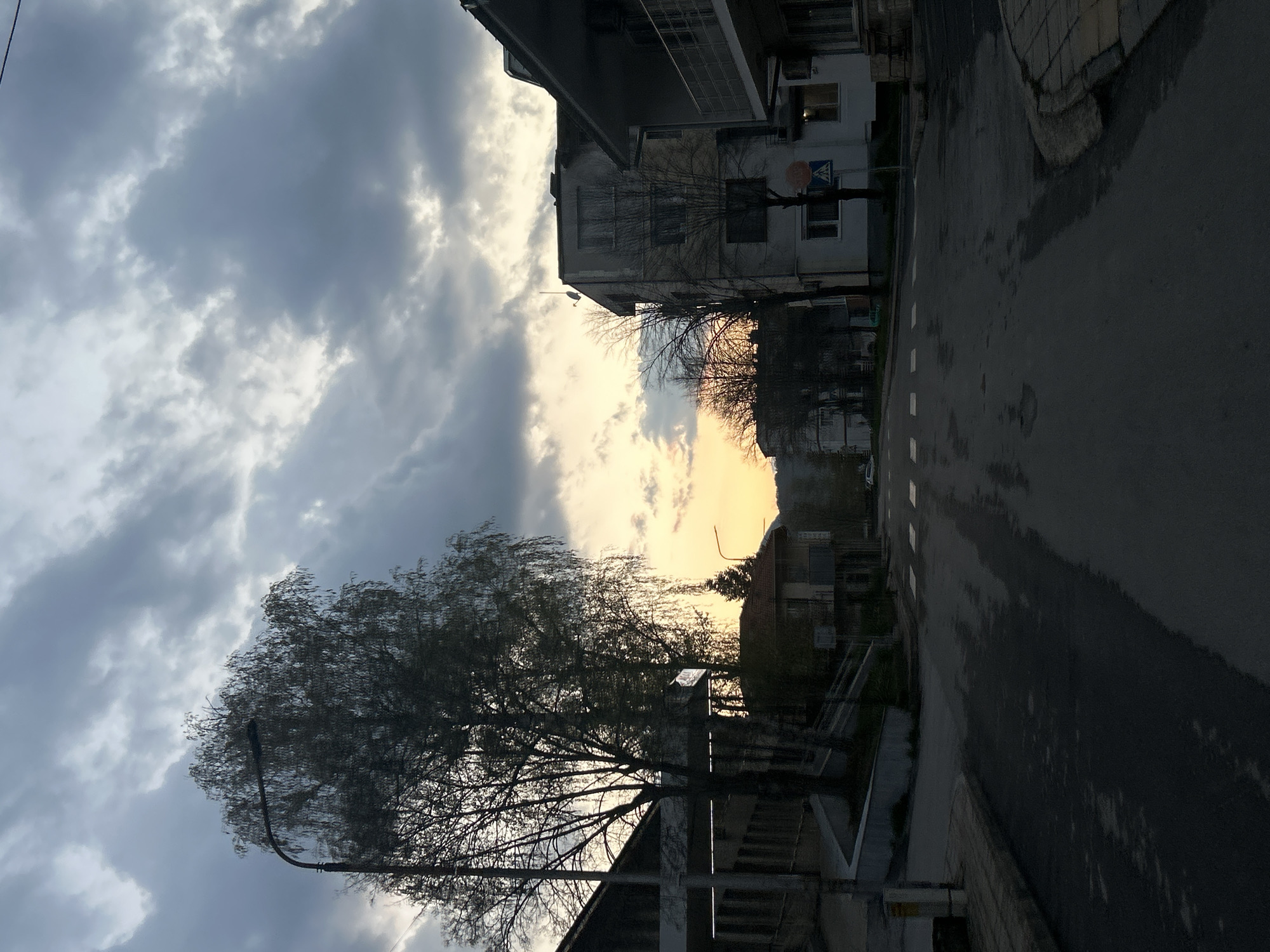 The image shows a street scene in Zlatograd, Bulgaria, at dusk. A street stretches into the distance, flanked by buildings on either side. The sky is filled with dramatic, cloud-filled sunset clouds. A leafless tree stands prominently in the foreground, partially obscuring a streetlight. The buildings appear to be apartment blocks. The road surface is dark, possibly wet, with white lane markings. There are no visible people.