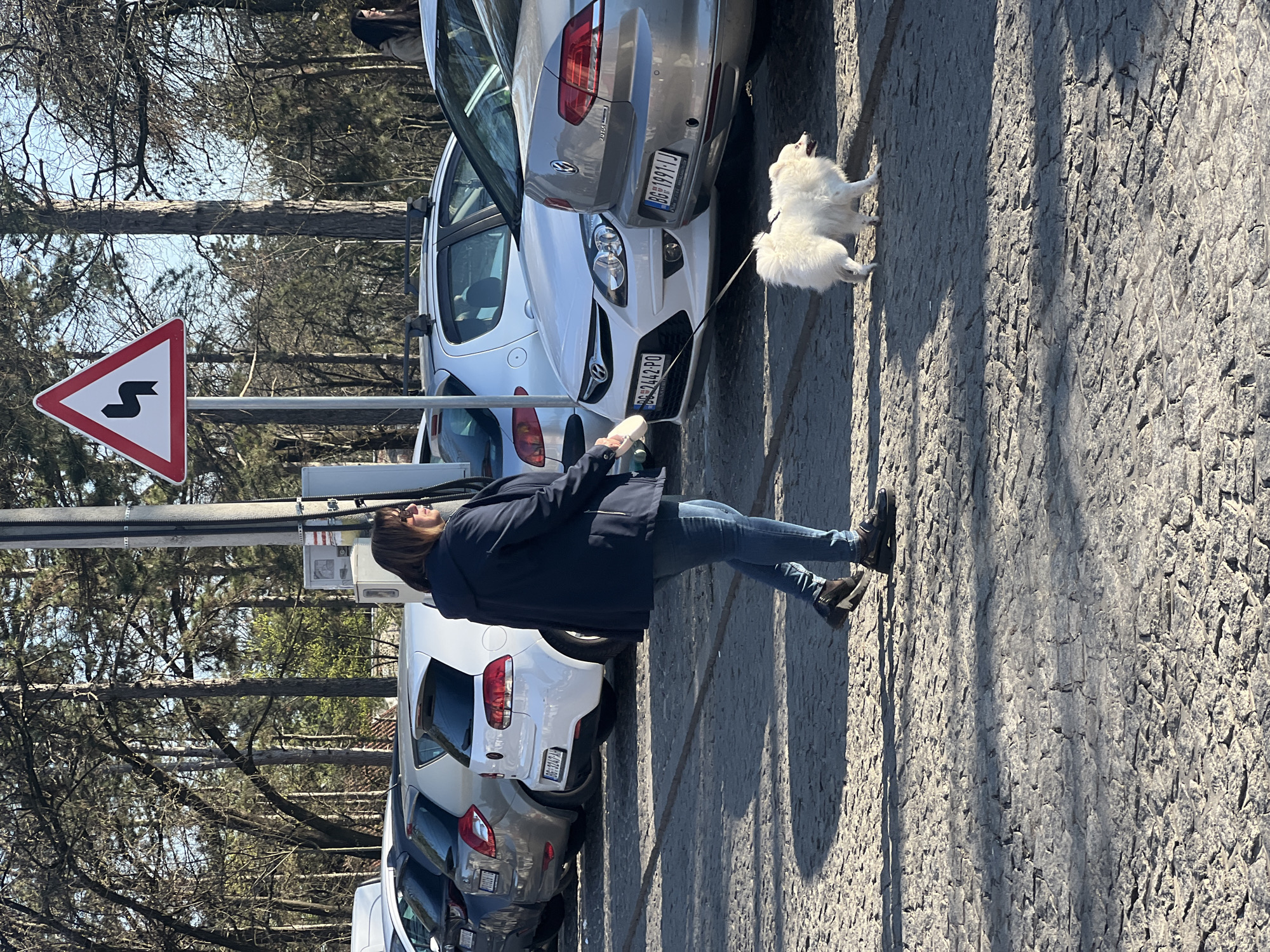The image depicts a woman walking a small white dog on a leash near a row of parked cars. She is wearing a dark jacket, blue jeans, and dark shoes. The cars are parked alongside a textured stone or concrete surface. A road sign indicating a double curve is visible. The setting appears to be outdoors, possibly near a wooded area with bare trees. Based on the car license plates visible ("BG" indicating Bulgaria), this scene may be in or near the city of Belgrade, Serbia.