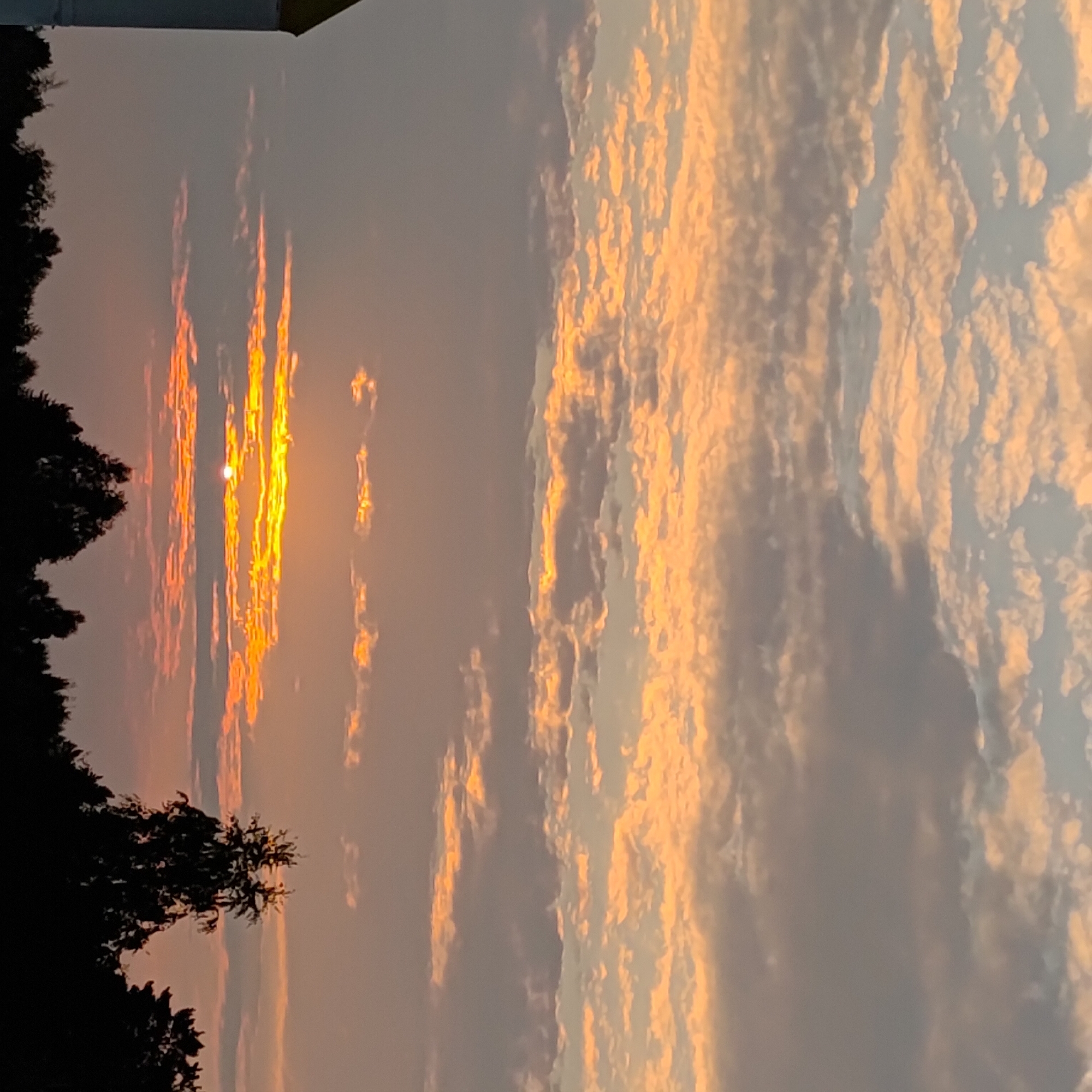 The image depicts a sunset scene with a treeline in the foreground and a sky filled with clouds. The sun is partially obscured by clouds, casting an orange and yellow glow. On the far left, a portion of a building with a yellow roof is visible. The treeline is silhouetted against the sky, suggesting it is evening. The image appears to be taken in or around the city of Марковский, Russia, given the context provided.